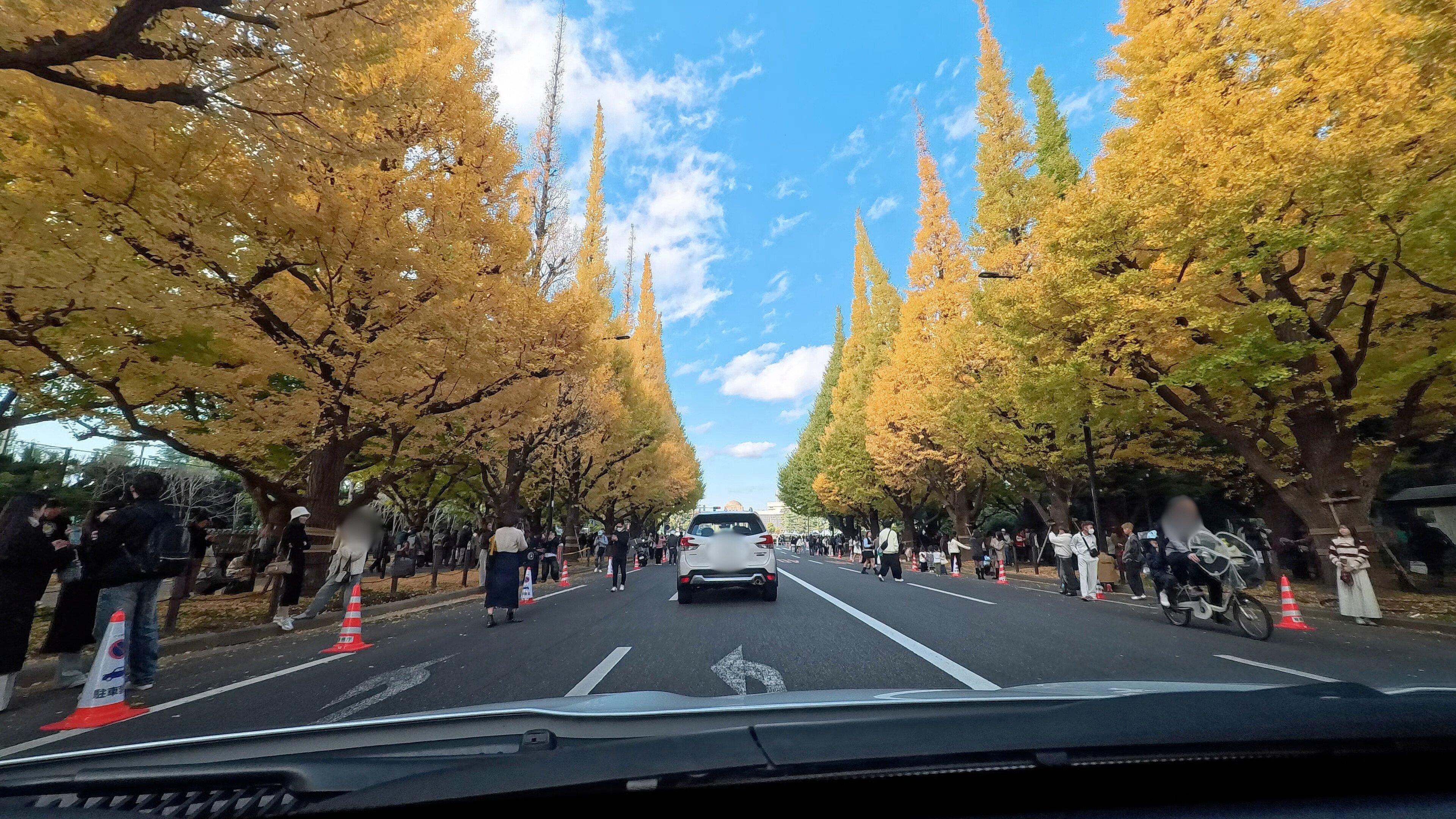 東京 観光・撮影スポット】神宮外苑のいちょう並木 アクションカメラで