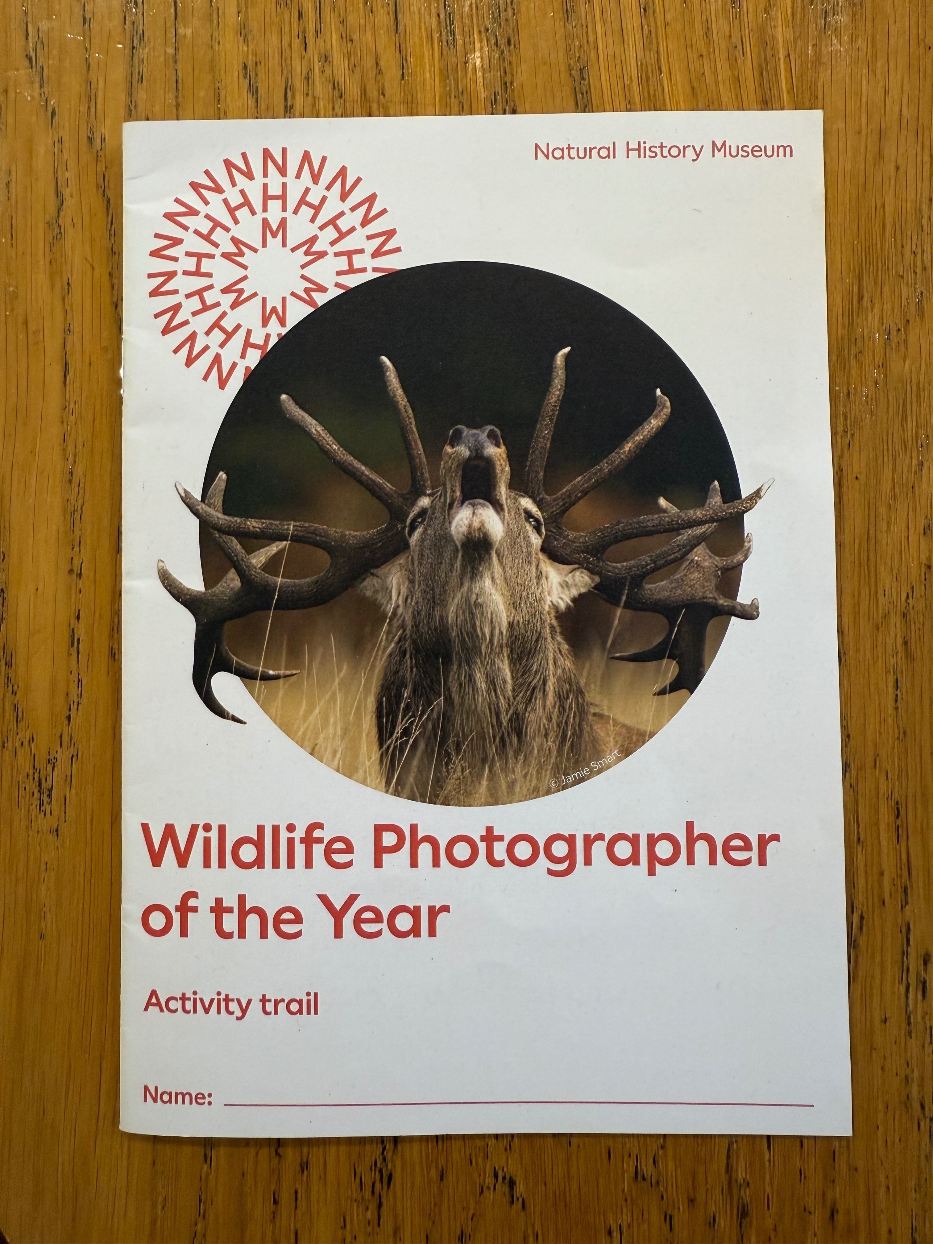 ロンドン自然史博物館の写真展と野鳥撮影という沼｜のん子@ロンドン在住