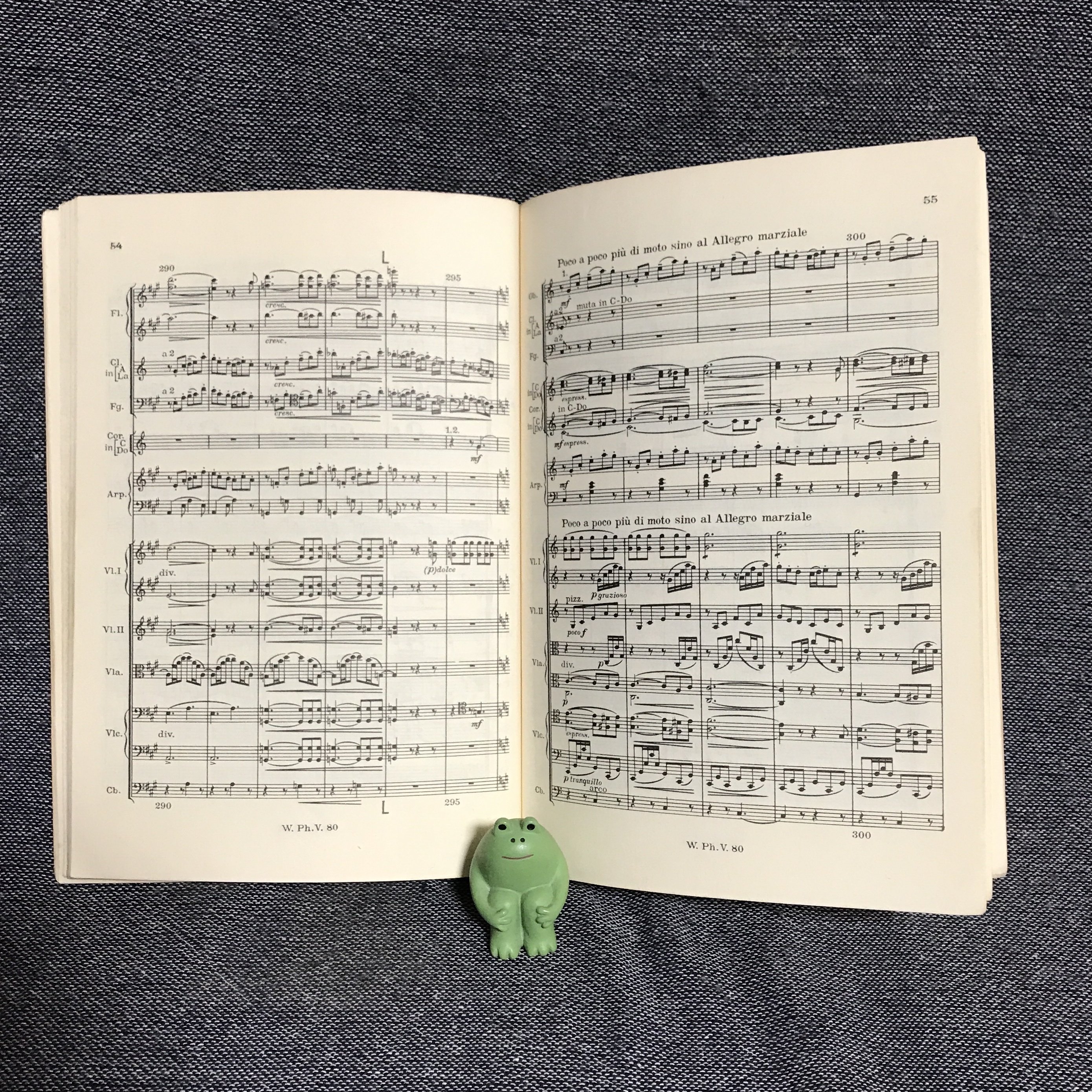 ミニチュアスコアと私［2］｜シューチョ