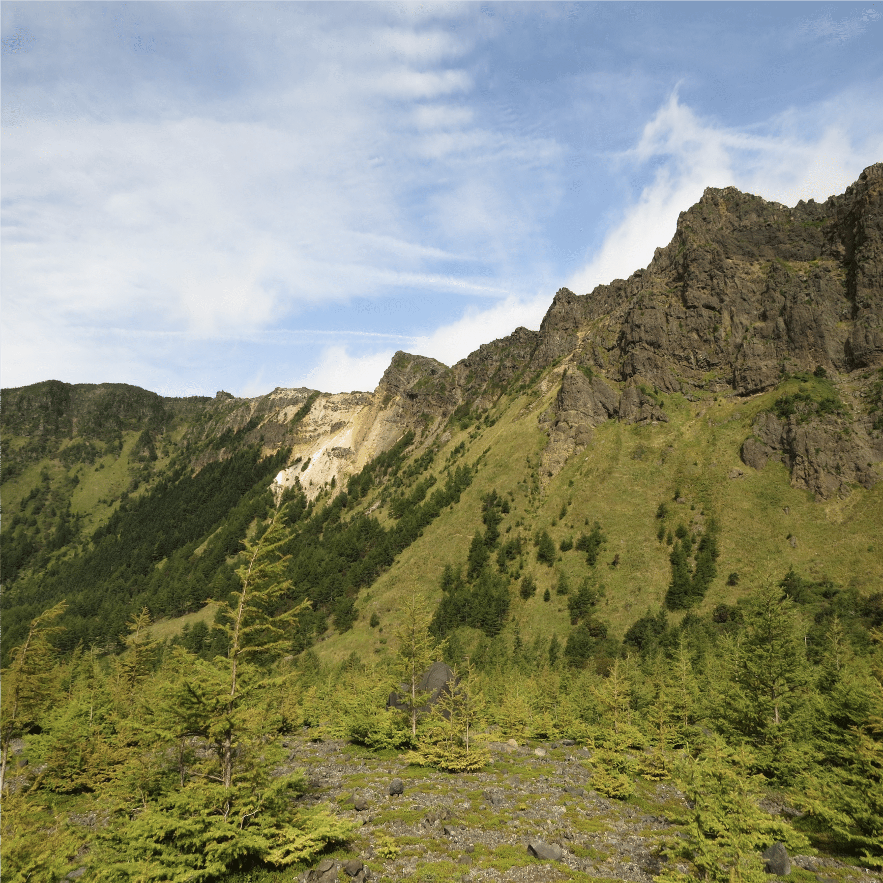 カモシカvsシカ part2 カモシカはシカがいると困る｜ブンイチ（文一