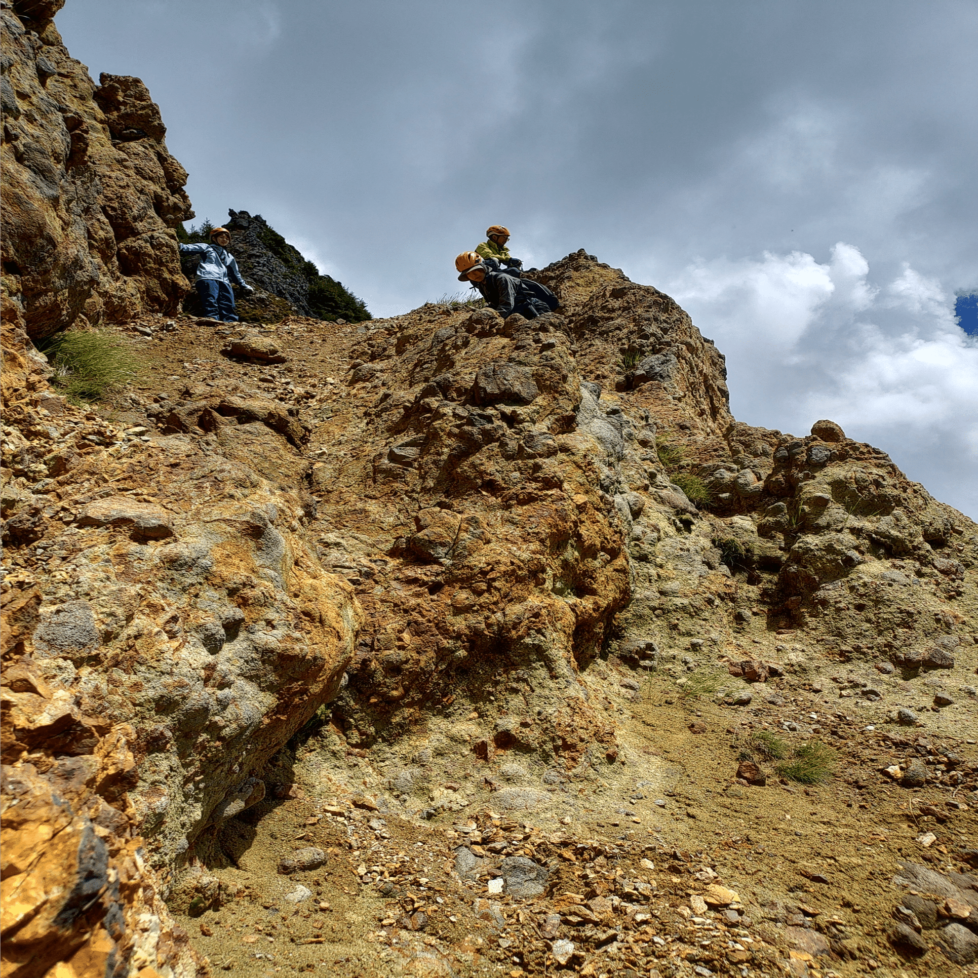 カモシカvsシカ part2 カモシカはシカがいると困る｜ブンイチ（文一