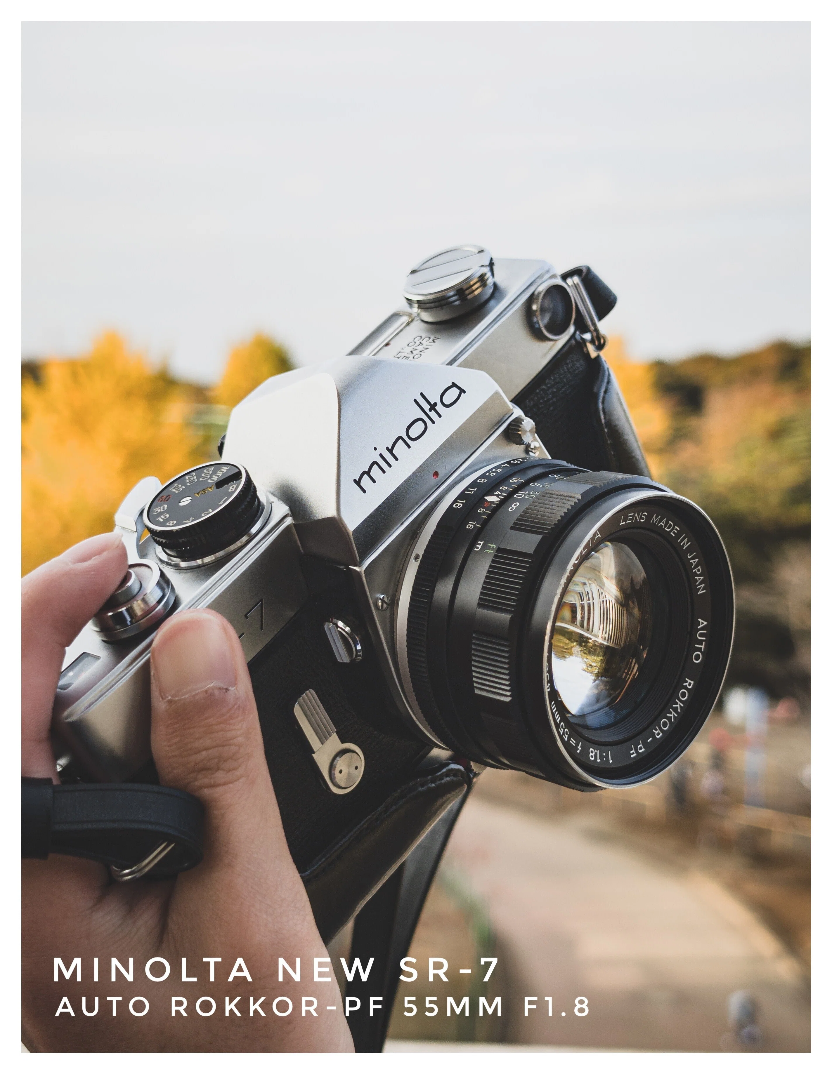 フィルム風写真｜桺蓼