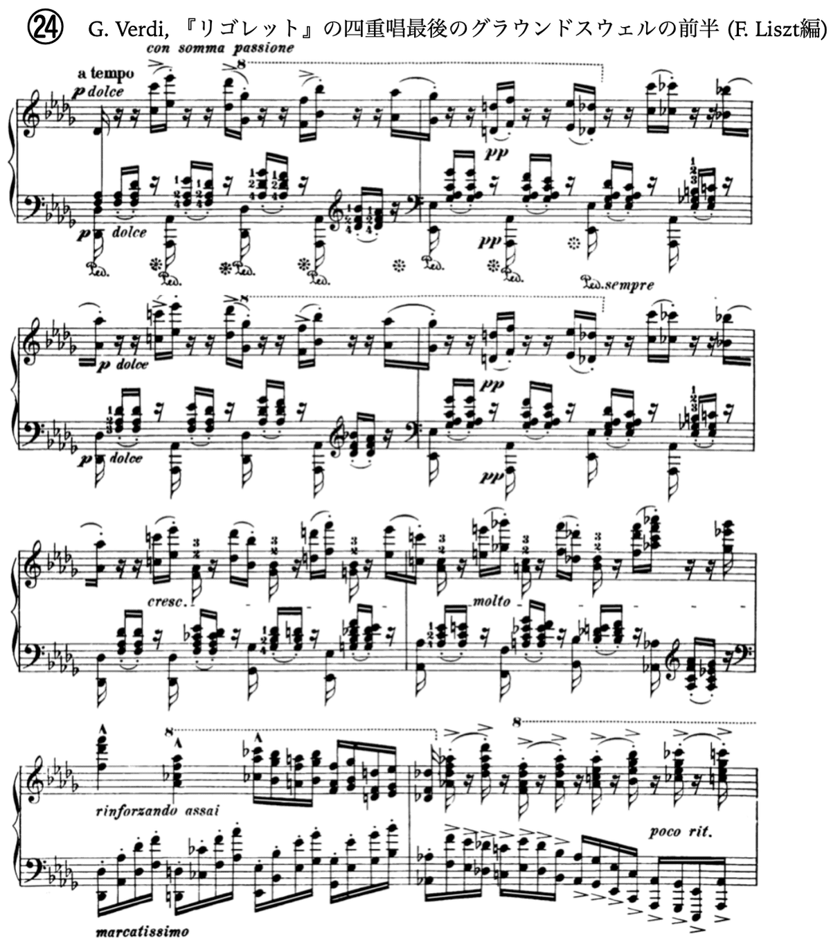 学会発表再現】スカート構造—その終結機能、概念、歴史的展開—｜大高