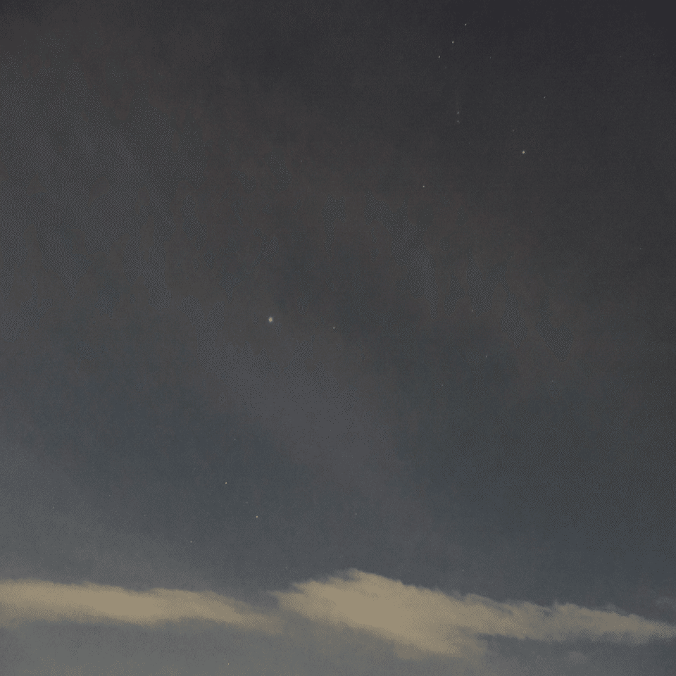 そういえばしし座流星群が極大だった｜こんとん