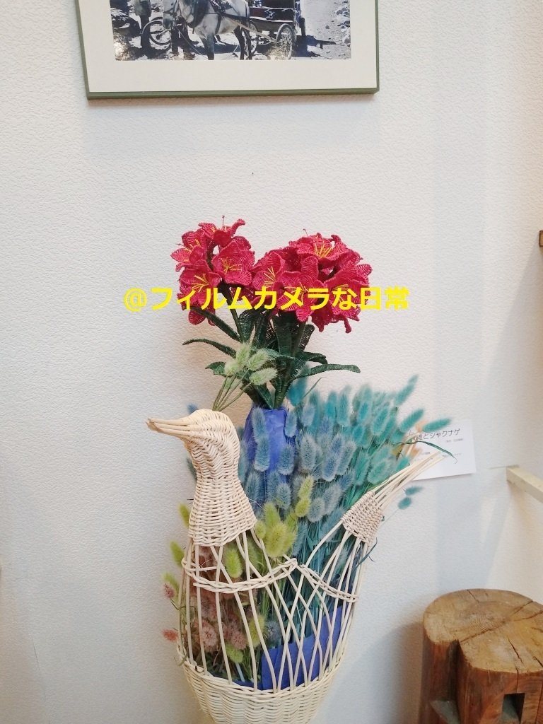 30年前の期限切れフィルム現像した。カラーネガフィルム自家現像