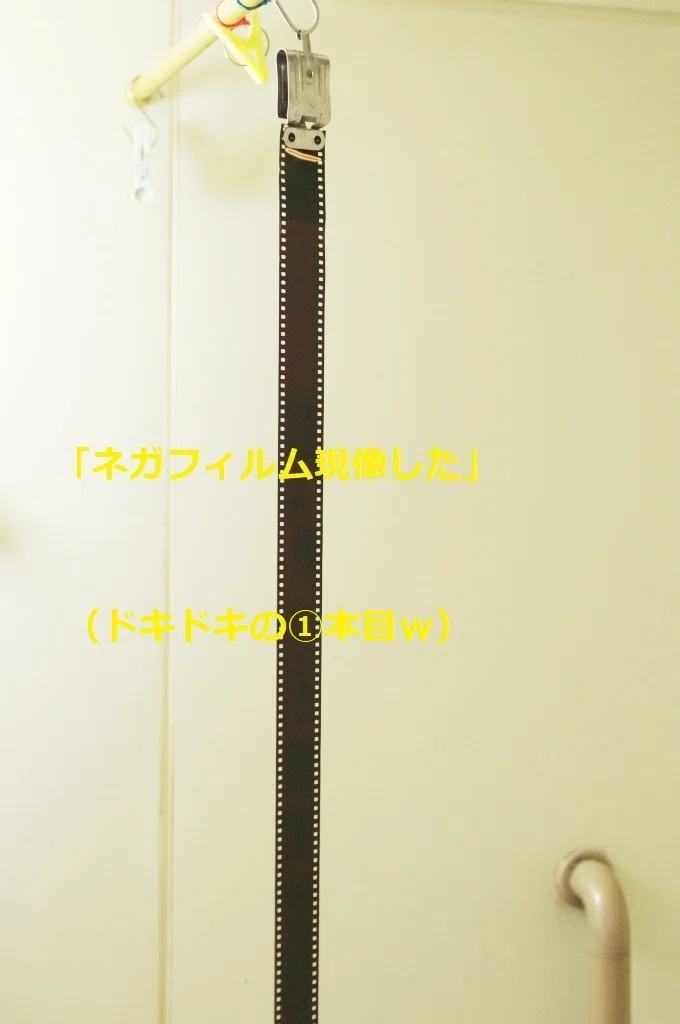 初心者注意報 002期限切れフィルムの罠｜カメラ買取・販売専門店の 30