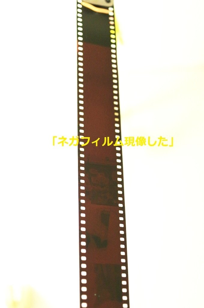 30年前の期限切れフィルム現像した。カラーネガフィルム自家現像