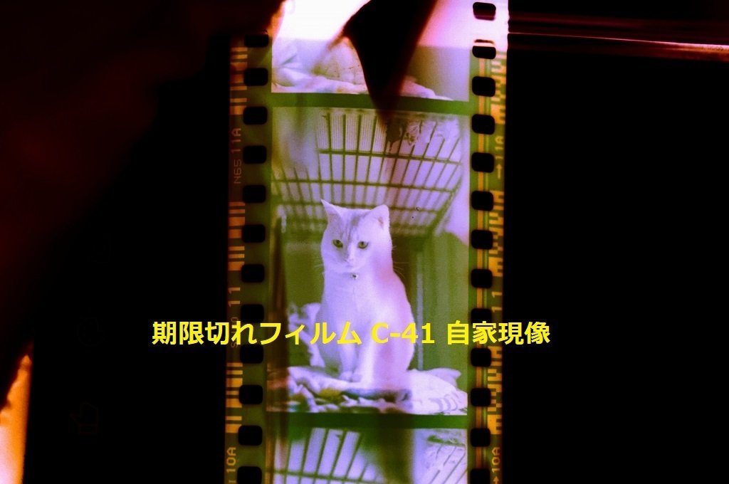 30年前の期限切れフィルム現像した。カラーネガフィルム自家現像