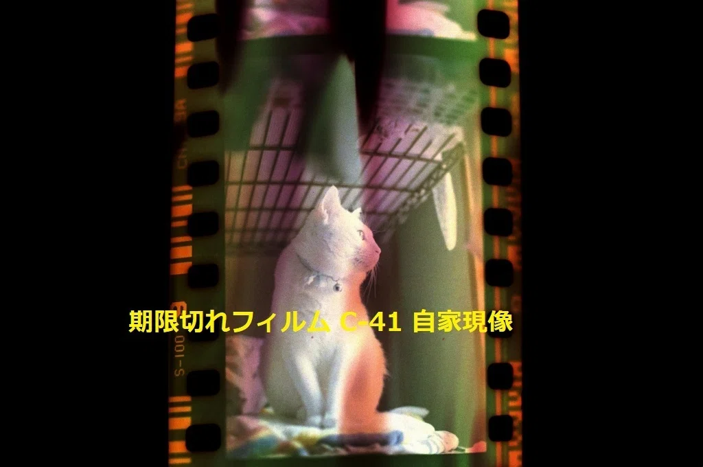 30年前の期限切れフィルム現像した。カラーネガフィルム自家現像