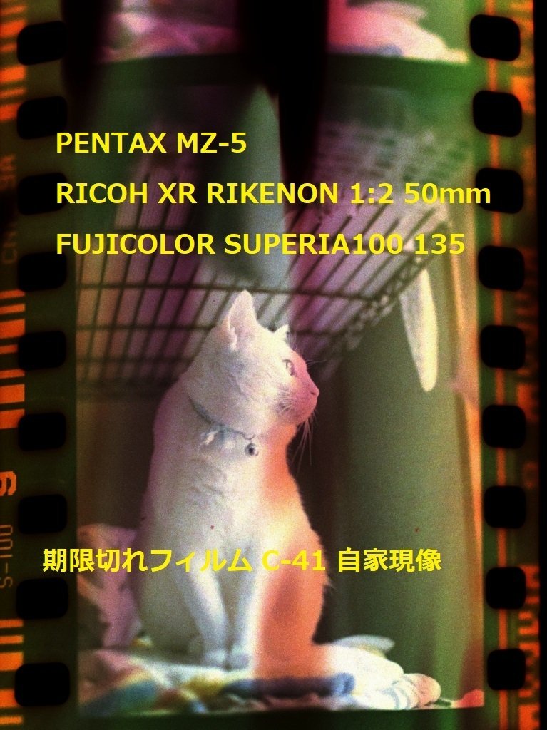 30年前の期限切れフィルム現像した。カラーネガフィルム自家現像