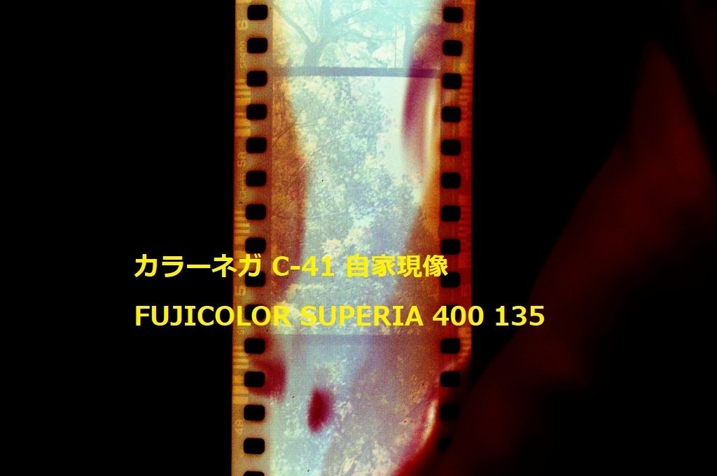 30年前の期限切れフィルム現像した。カラーネガフィルム自家現像