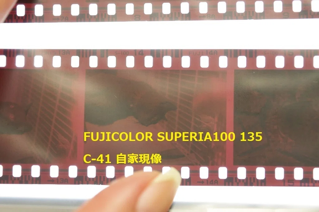 ネガカラーフィルム 期限切れ 期限切れフィルムの撮り方 · Lomography