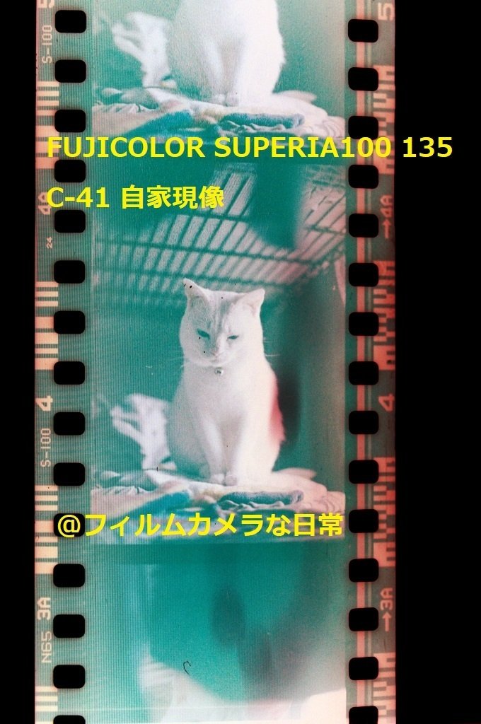 30年前の期限切れフィルム現像した。カラーネガフィルム自家現像