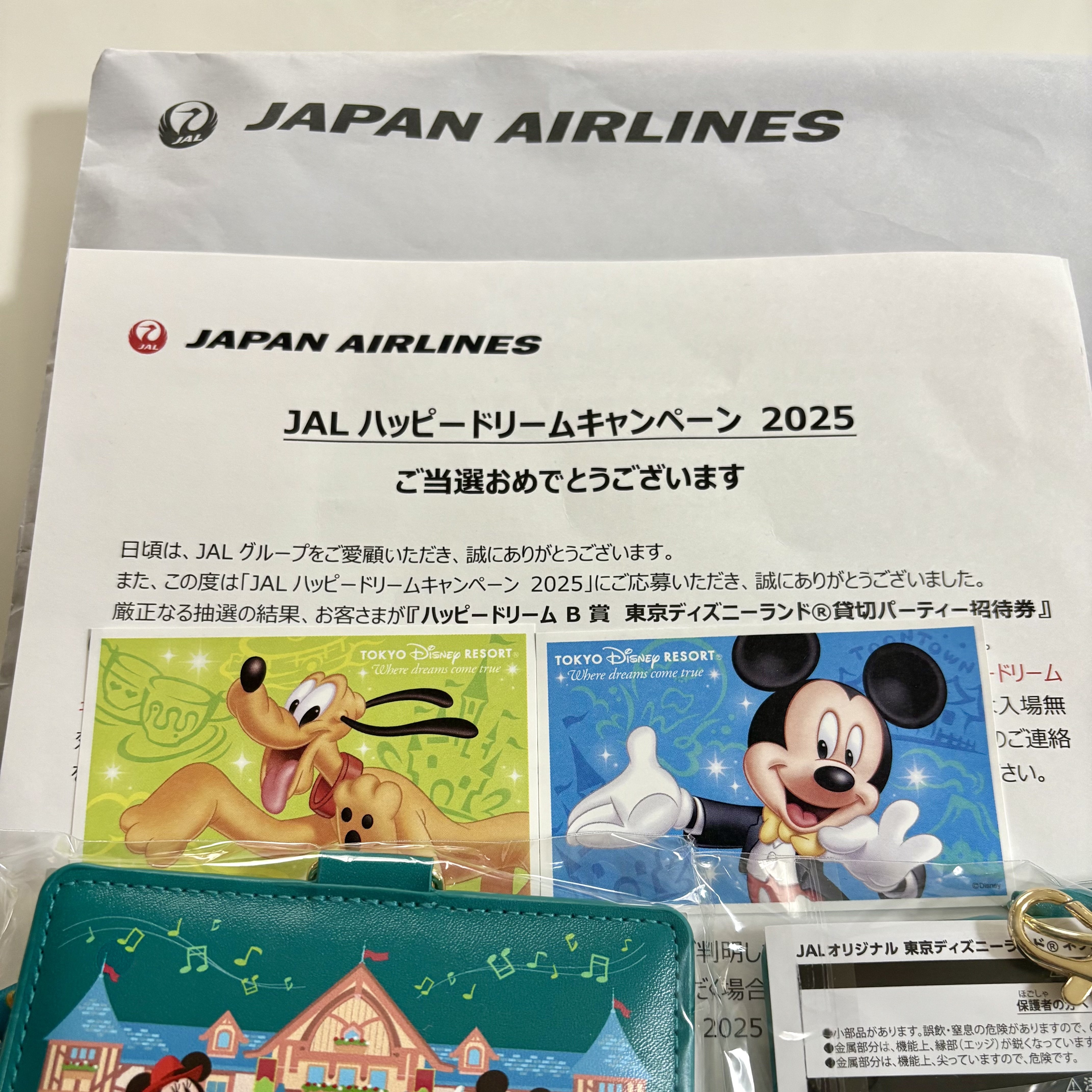 貸切ディズニー・JALプライベート イブニングパーティー2025 in東京