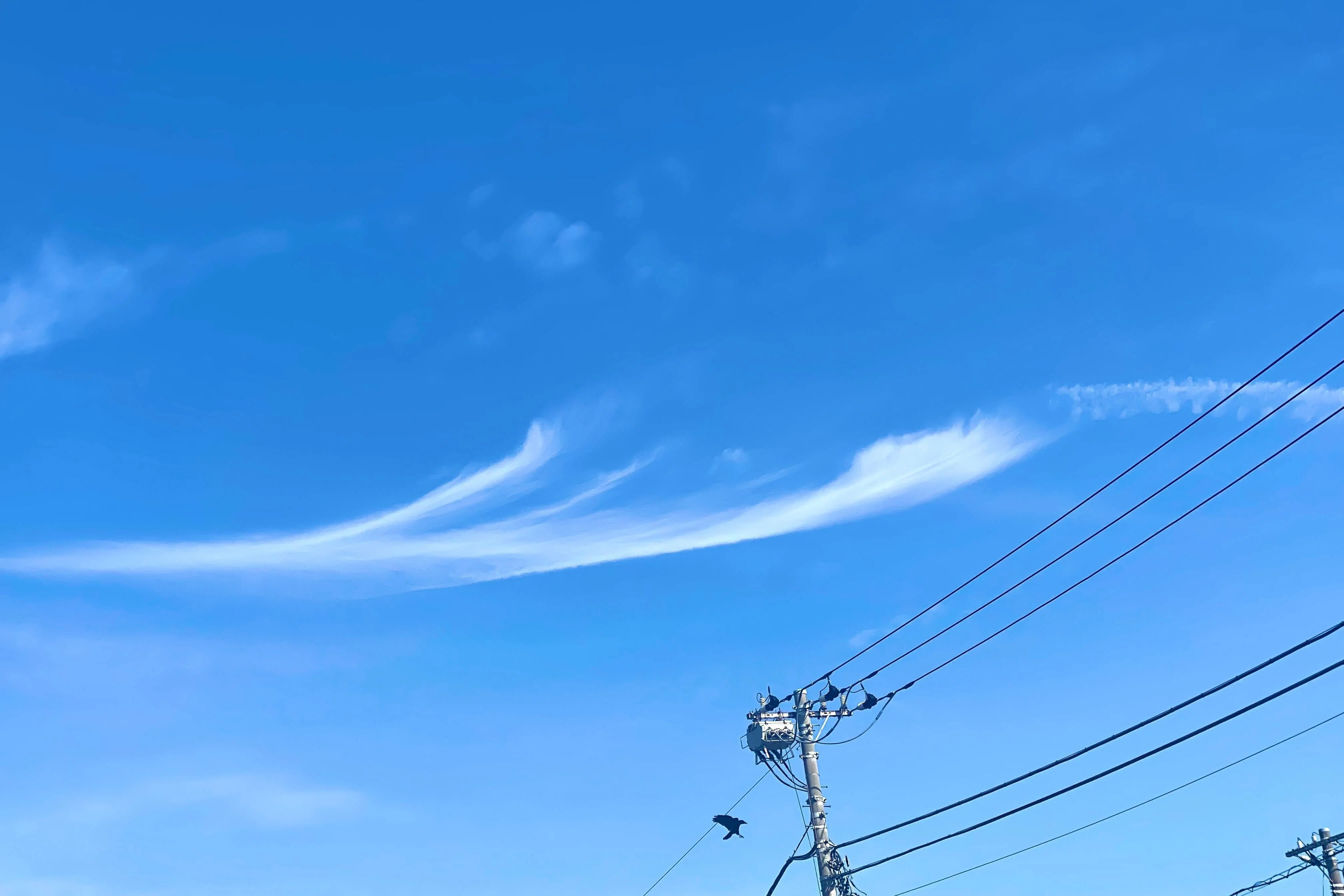 空に描かれる神々の芸術 ー すじ雲｜はみー