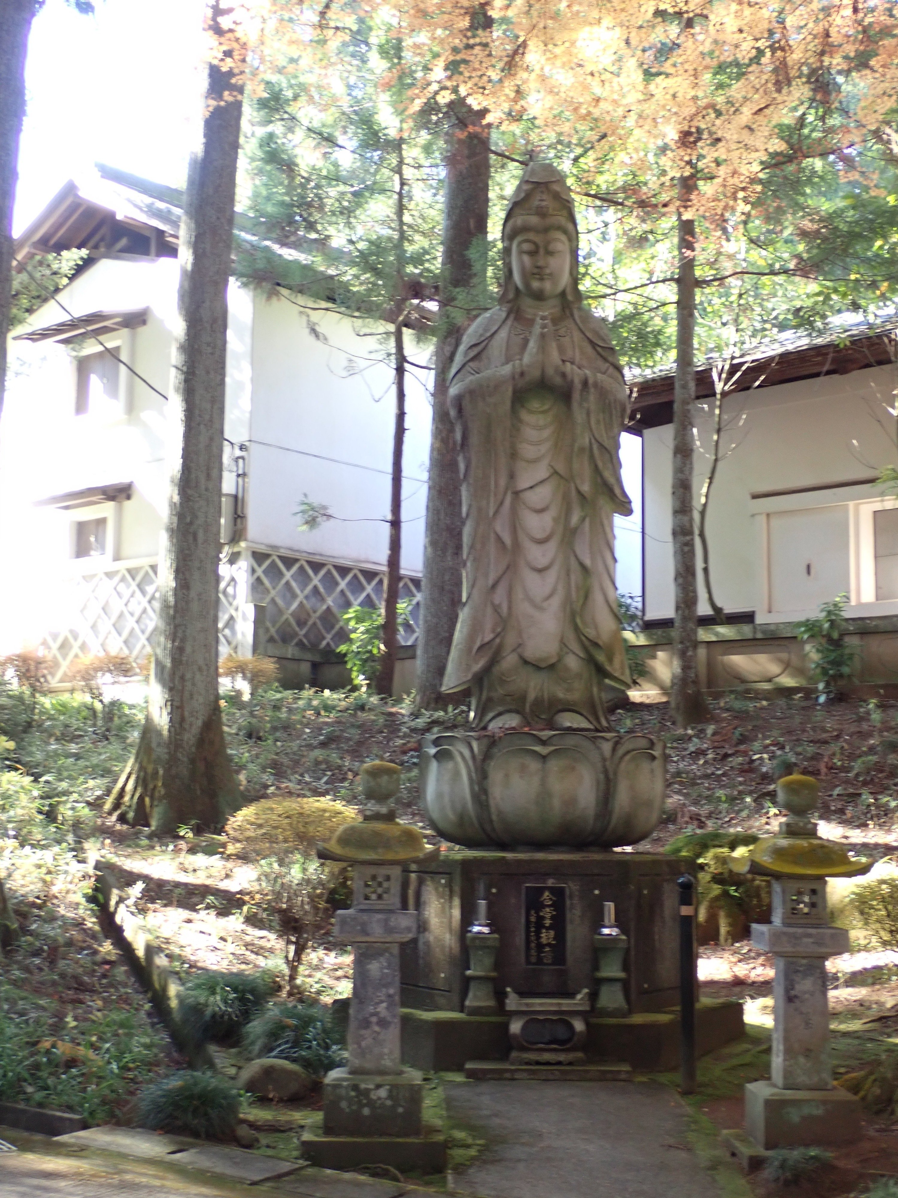 サザンカと六地蔵 大雄寺｜マンガン