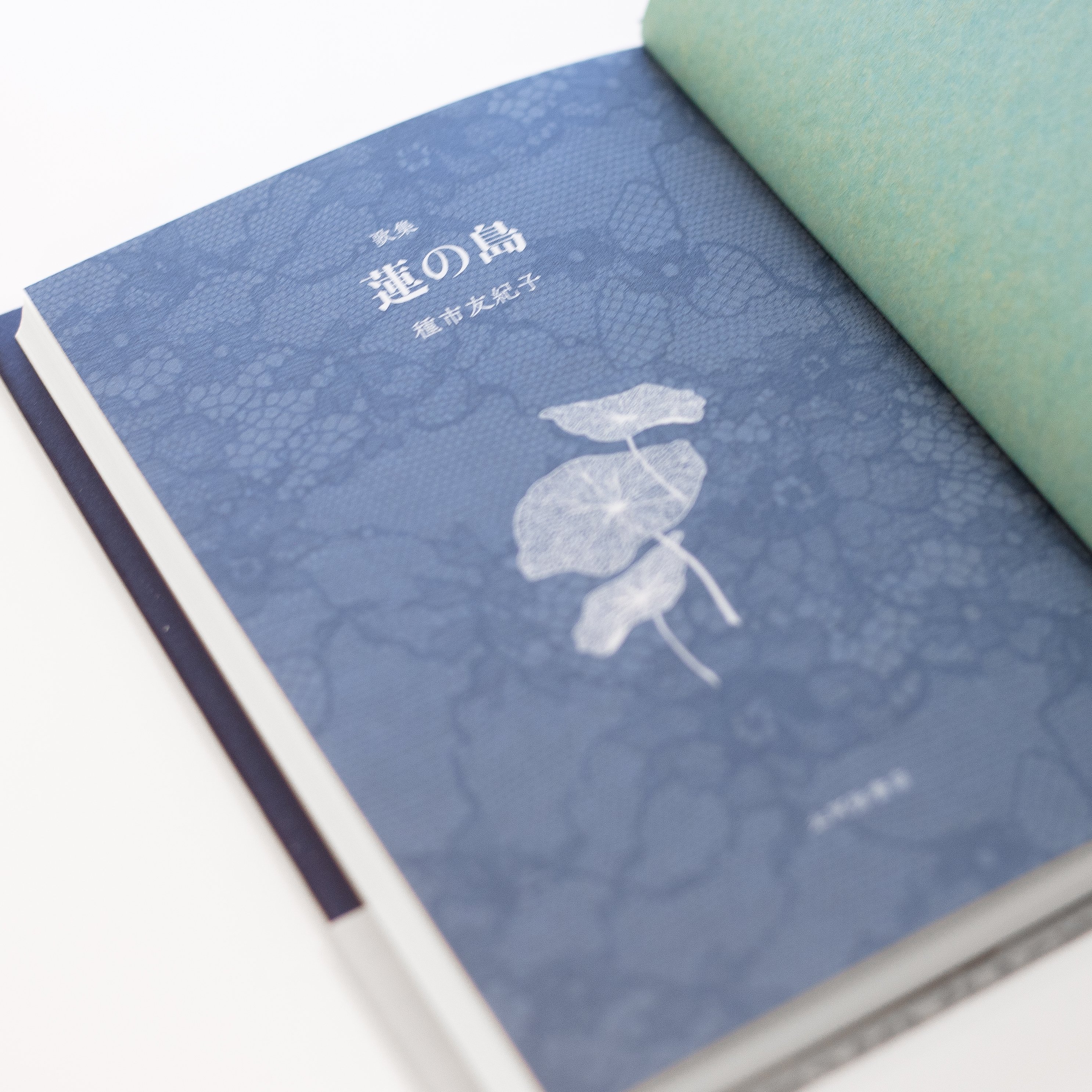 歌集『蓮の島』装幀と、はじまりの話｜種市友紀子