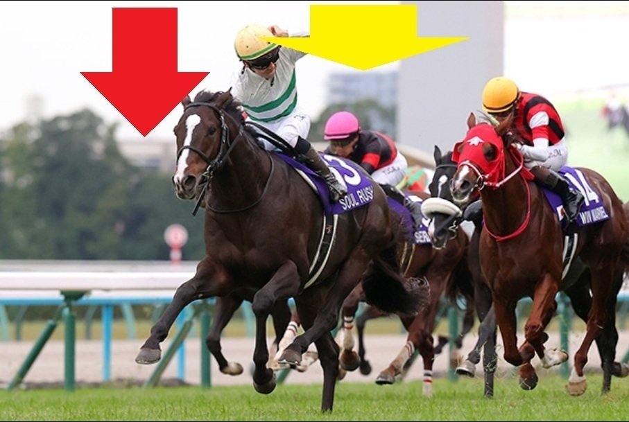 マイルチャンピオンシップ2025 サイン馬券｜マイルチャンピオンシップ