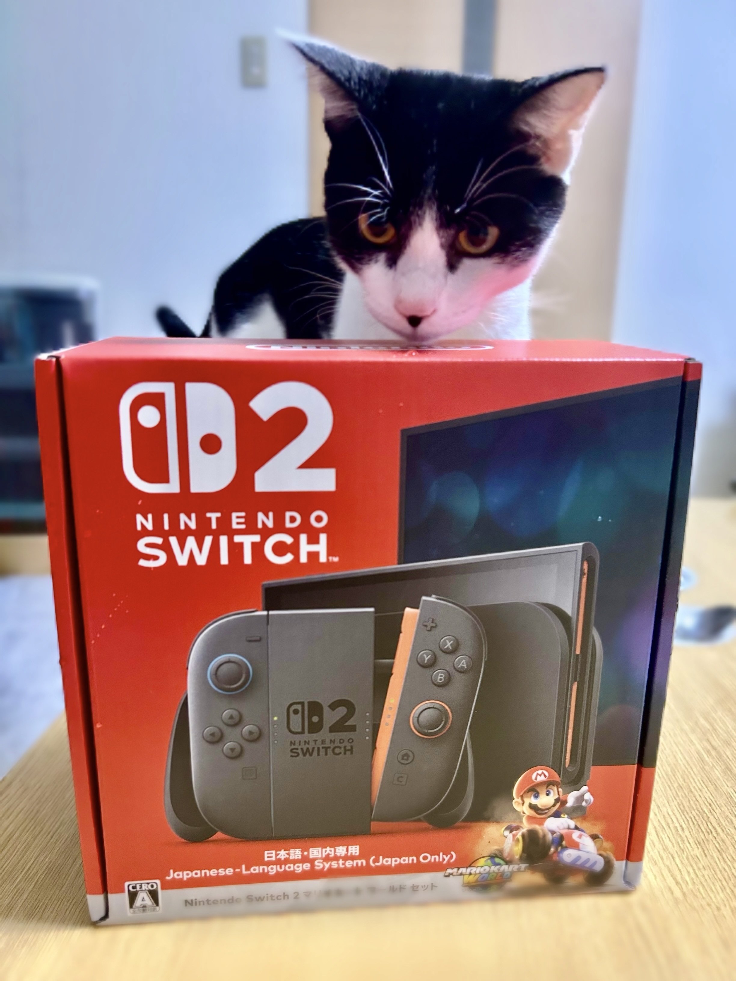 Switch2、致死量の任天堂すぎる｜タカツダ