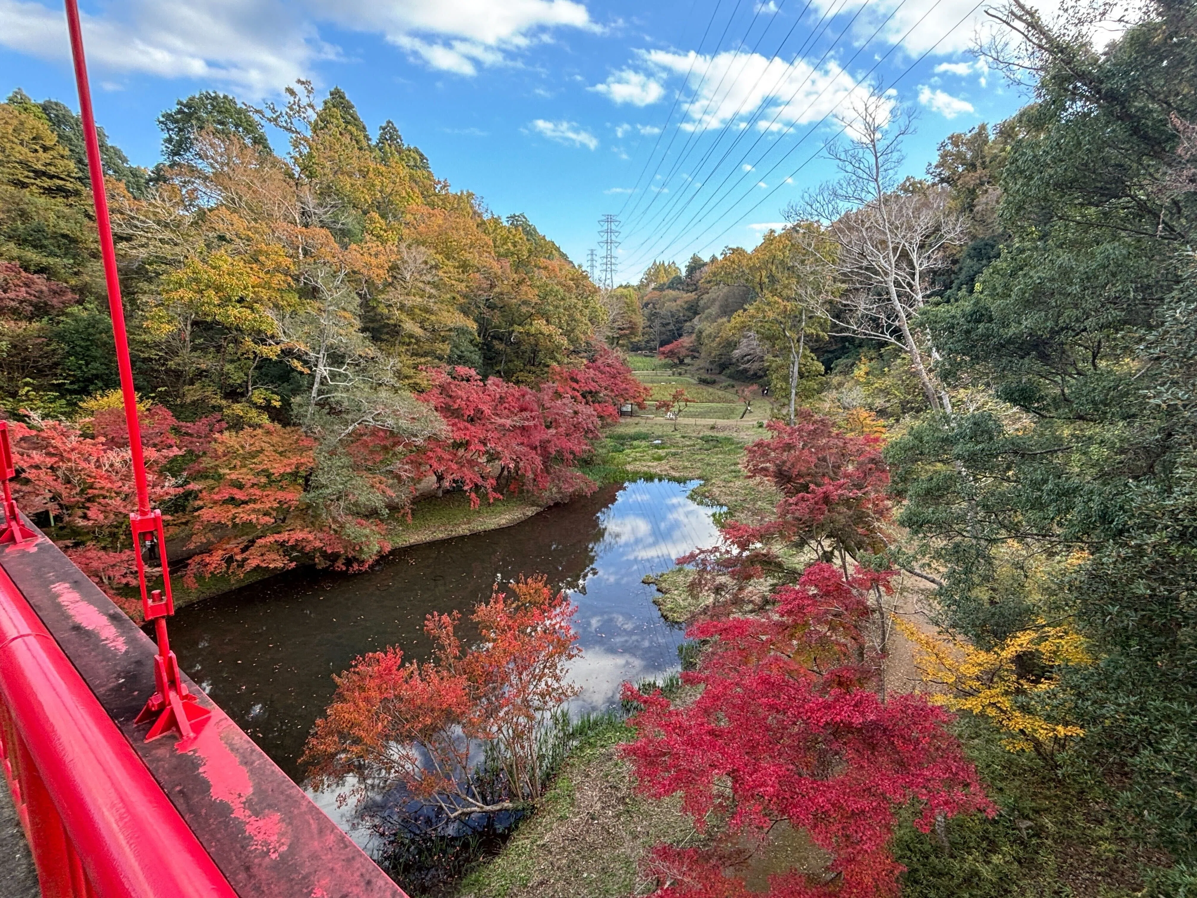 泉自然公園の紅葉が素晴らしいです！｜活動記録@NPOリトカル