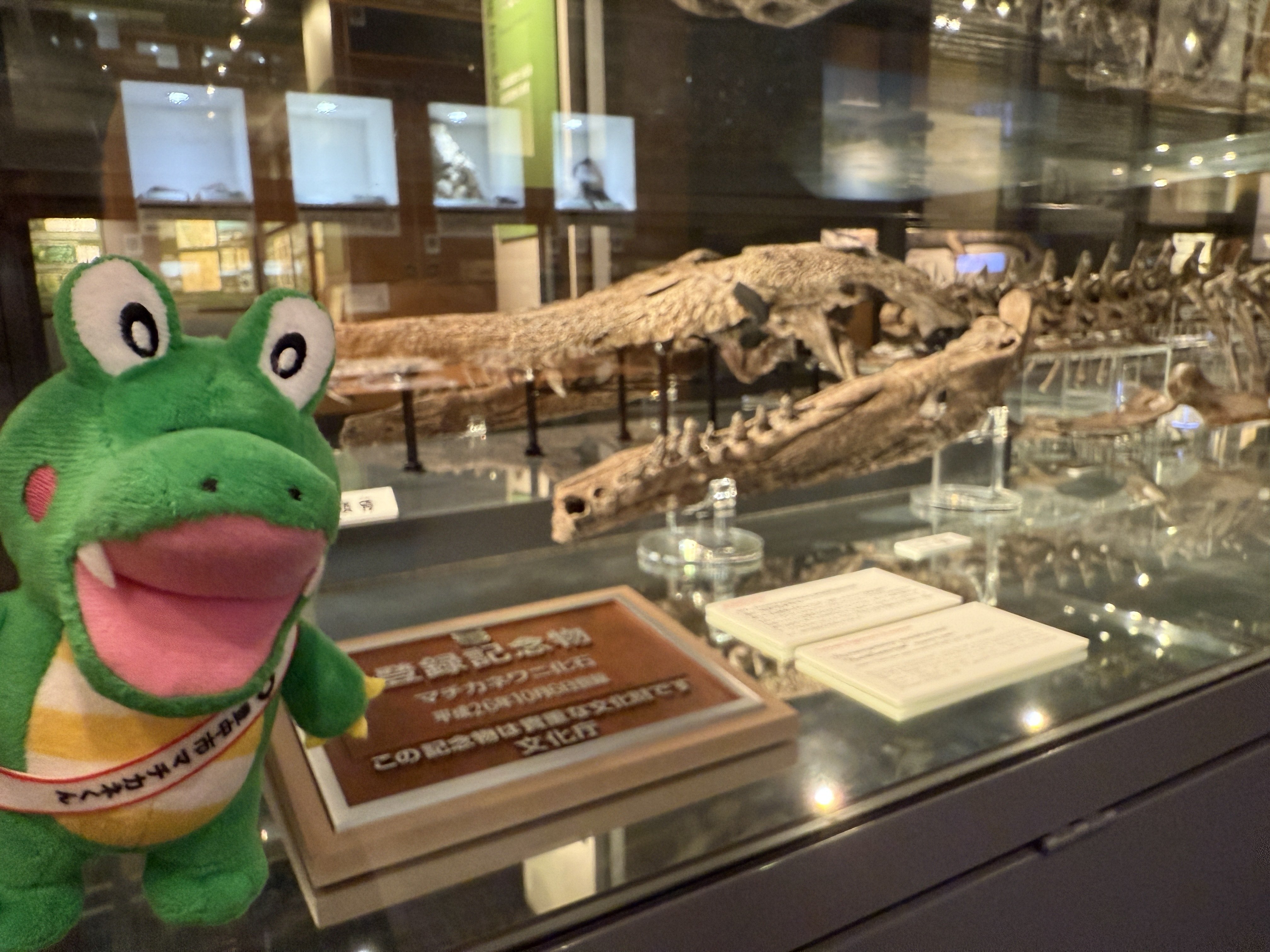 世界に一つ　マチカネワニ　木彫　頭骨模型　16.5㎝　価格応相談 世界に一つ マチカネワニ 木彫 頭骨模型 16.5㎝ 価格応相談 世界に一