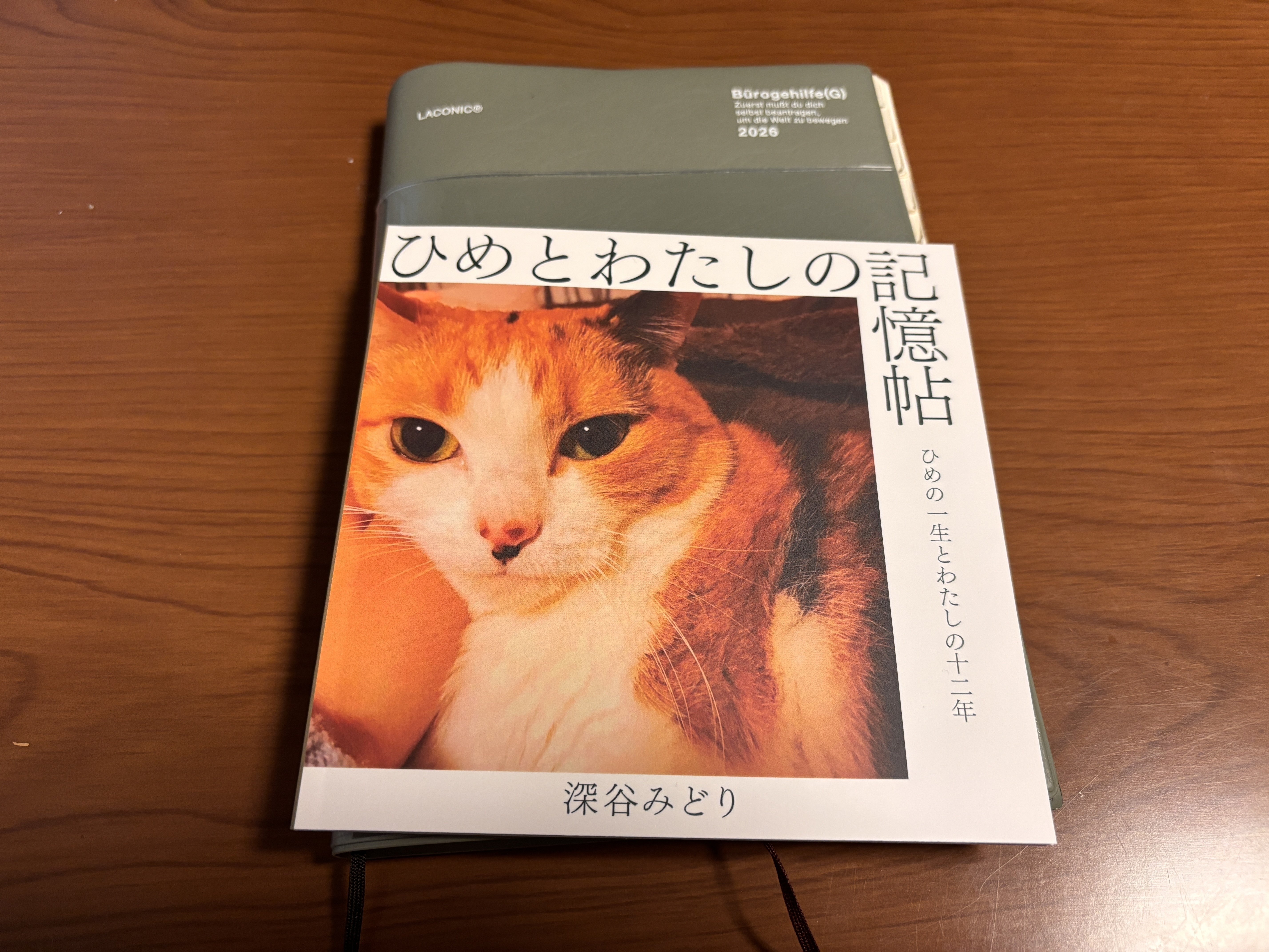 ねこページ 009】飼い猫ちゃんのZINEが完成！｜深谷みどり