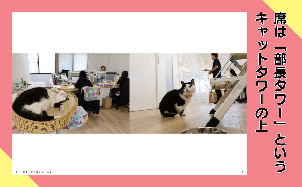 著者インタビュー】11月18日発売『3本足の保護猫ふくは、運送会社の 著者インタビュー】11月18日発売『3本足の保護猫ふくは、運送会社の