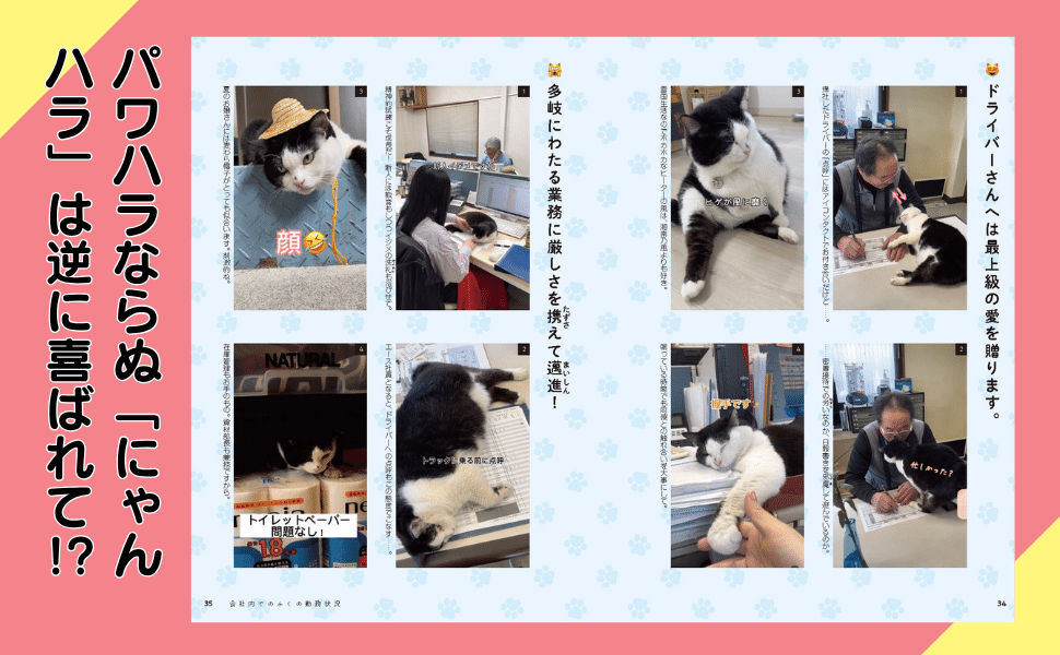 著者インタビュー】11月18日発売『3本足の保護猫ふくは、運送会社の