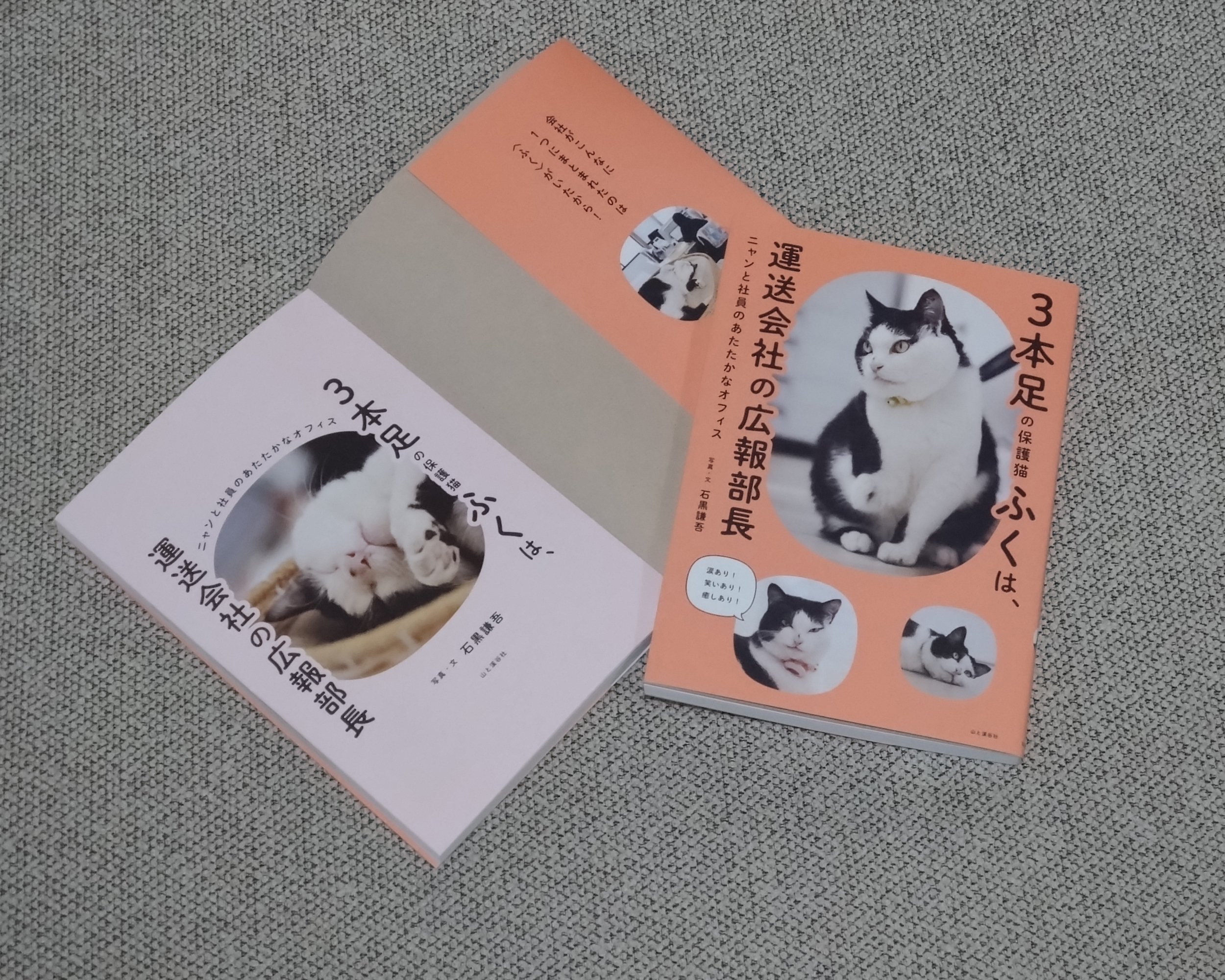 著者インタビュー】11月18日発売『3本足の保護猫ふくは、運送会社の 著者インタビュー】11月18日発売『3本足の保護猫ふくは、運送会社の