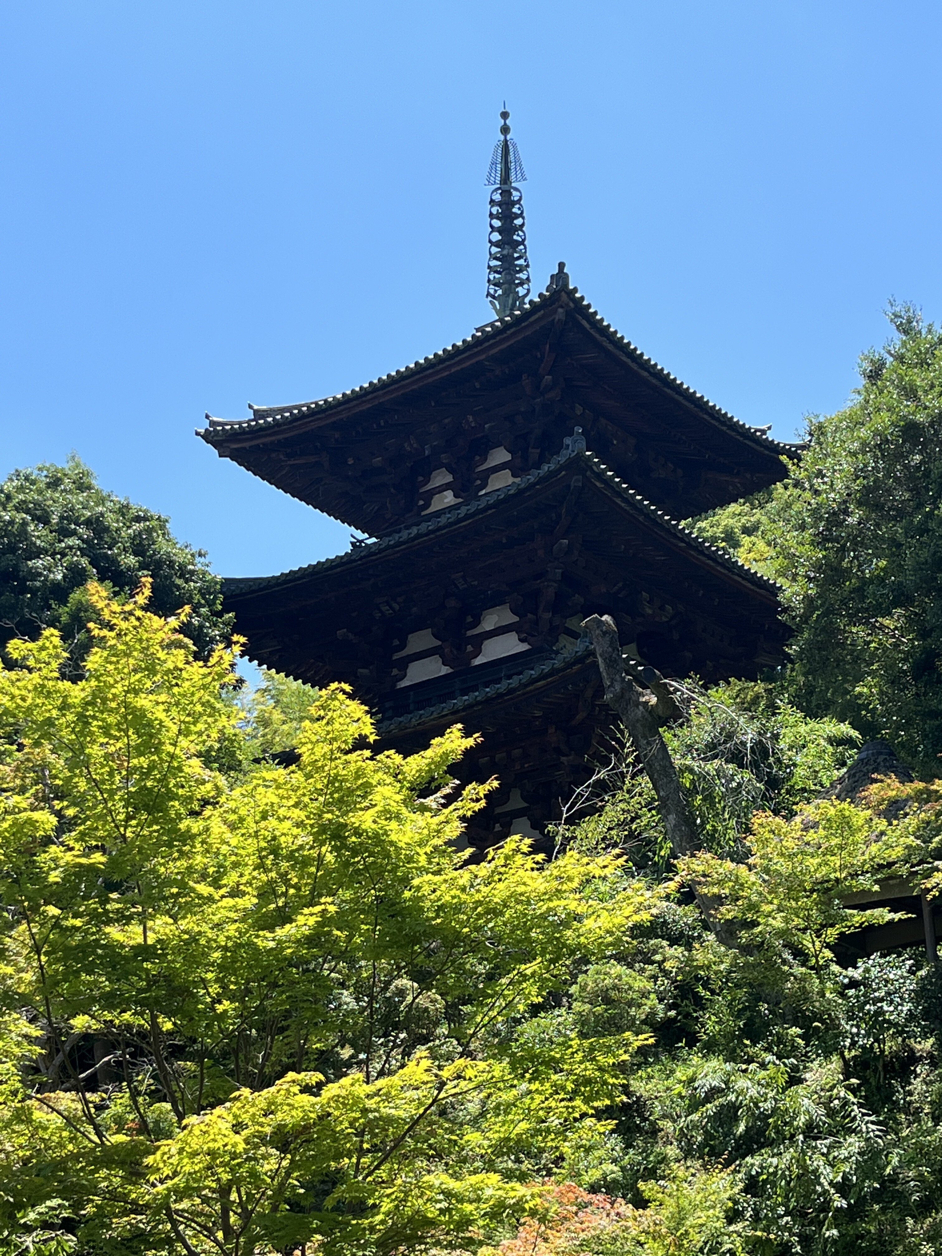 まだまだ続く仏塔の話 〜国宝・三重塔を探す旅〜｜摂津屋風庵