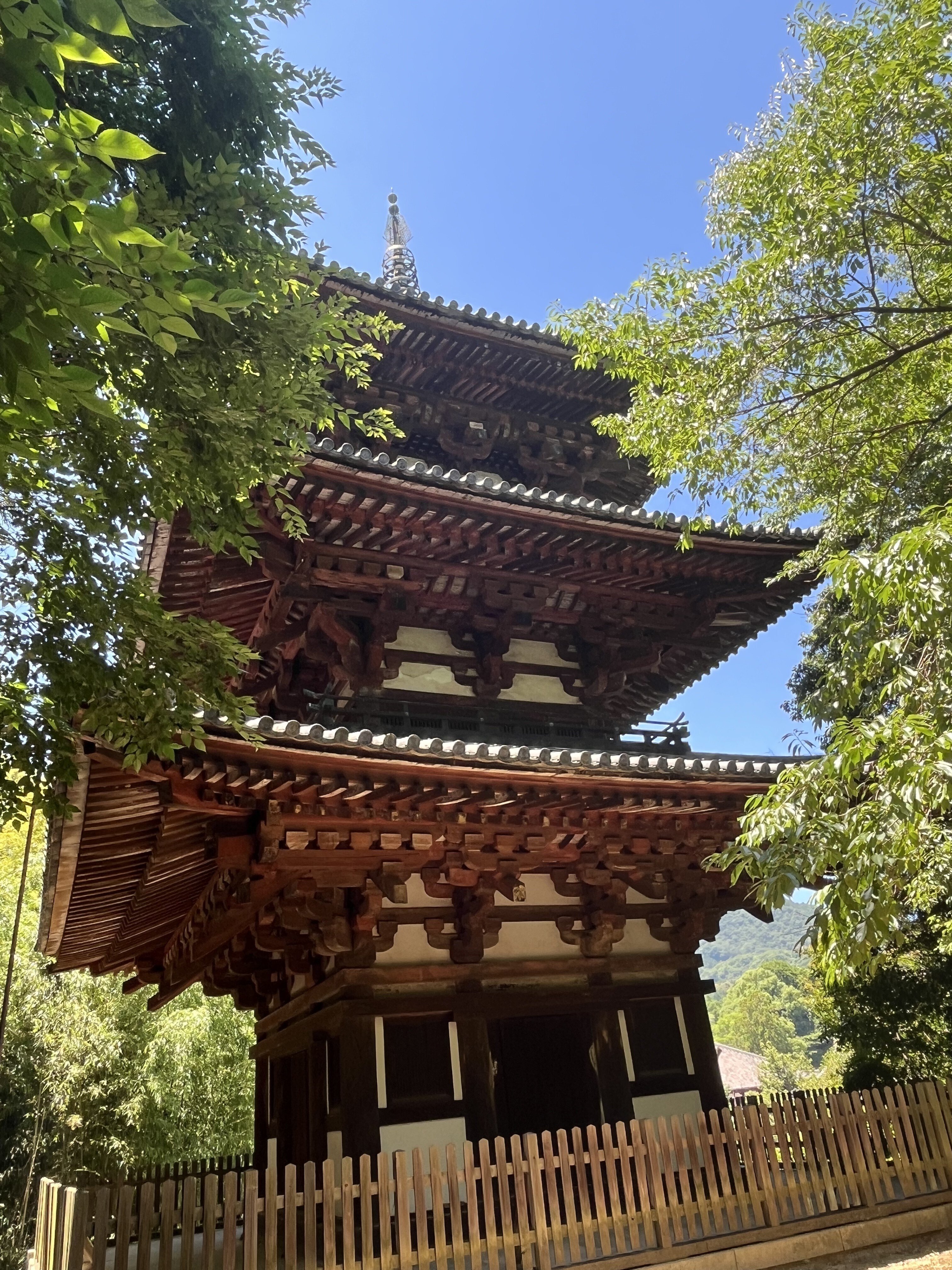 まだまだ続く仏塔の話 〜国宝・三重塔を探す旅〜｜摂津屋風庵