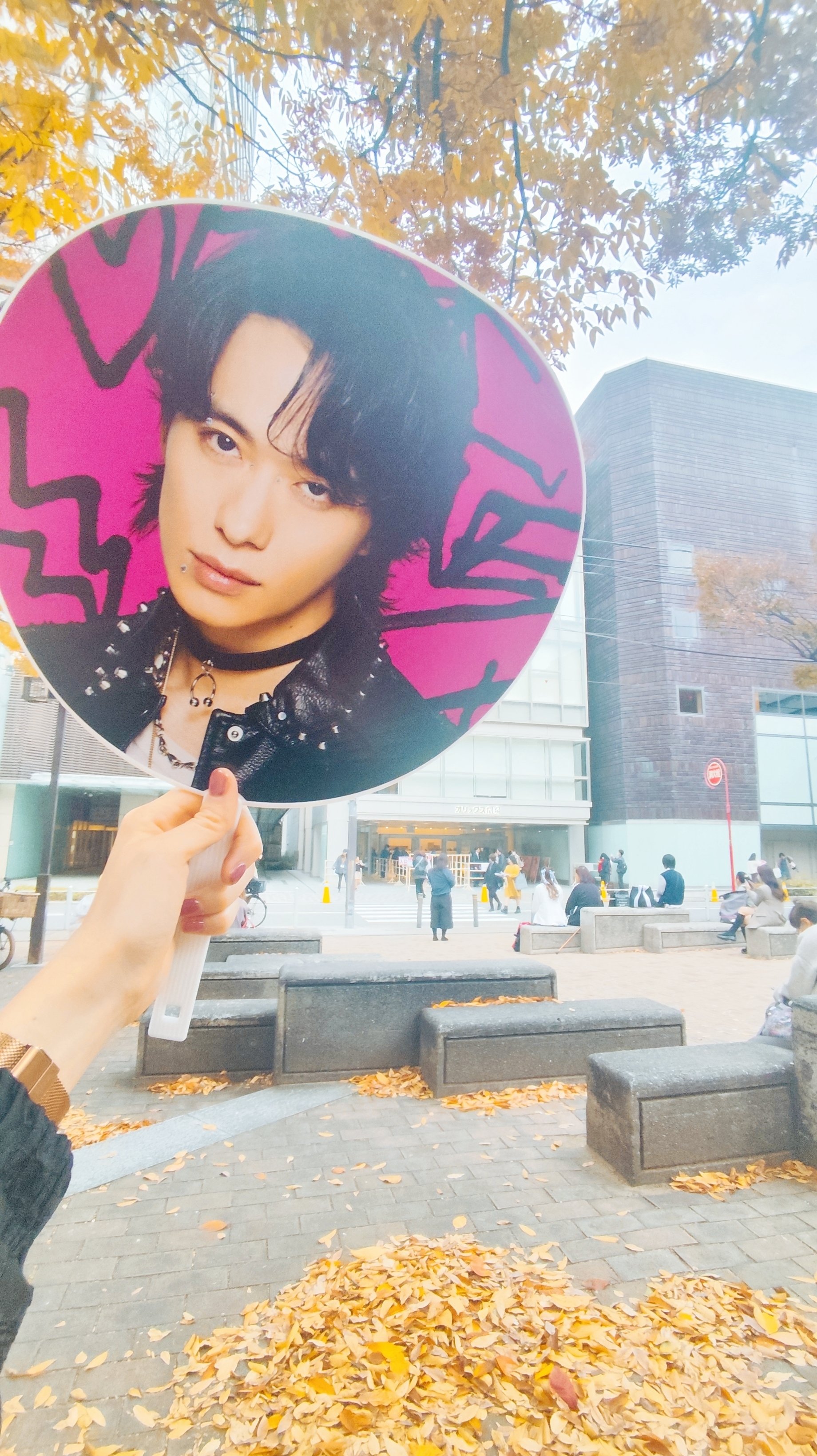 ライブレポ | A.B.C-Z Concert Tour 2025 CRAZY ROMANTIC! 11/17大阪｜はろ