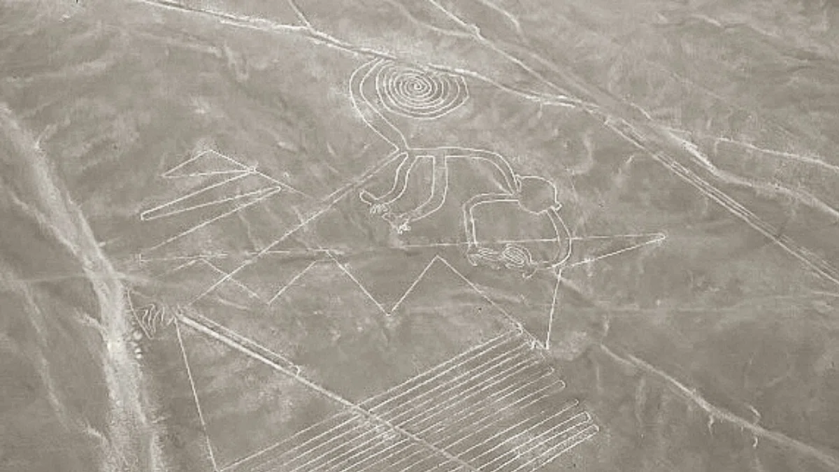 ナスカの地上絵を見て、古代の人々の思考に想いを馳せた｜Ryoichi
