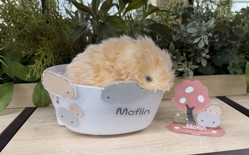 Moflin ぬいぐるみ 本体 AIペットロボット「Moflin」の初の公式グッズ5種をレビュー！｜カシオ