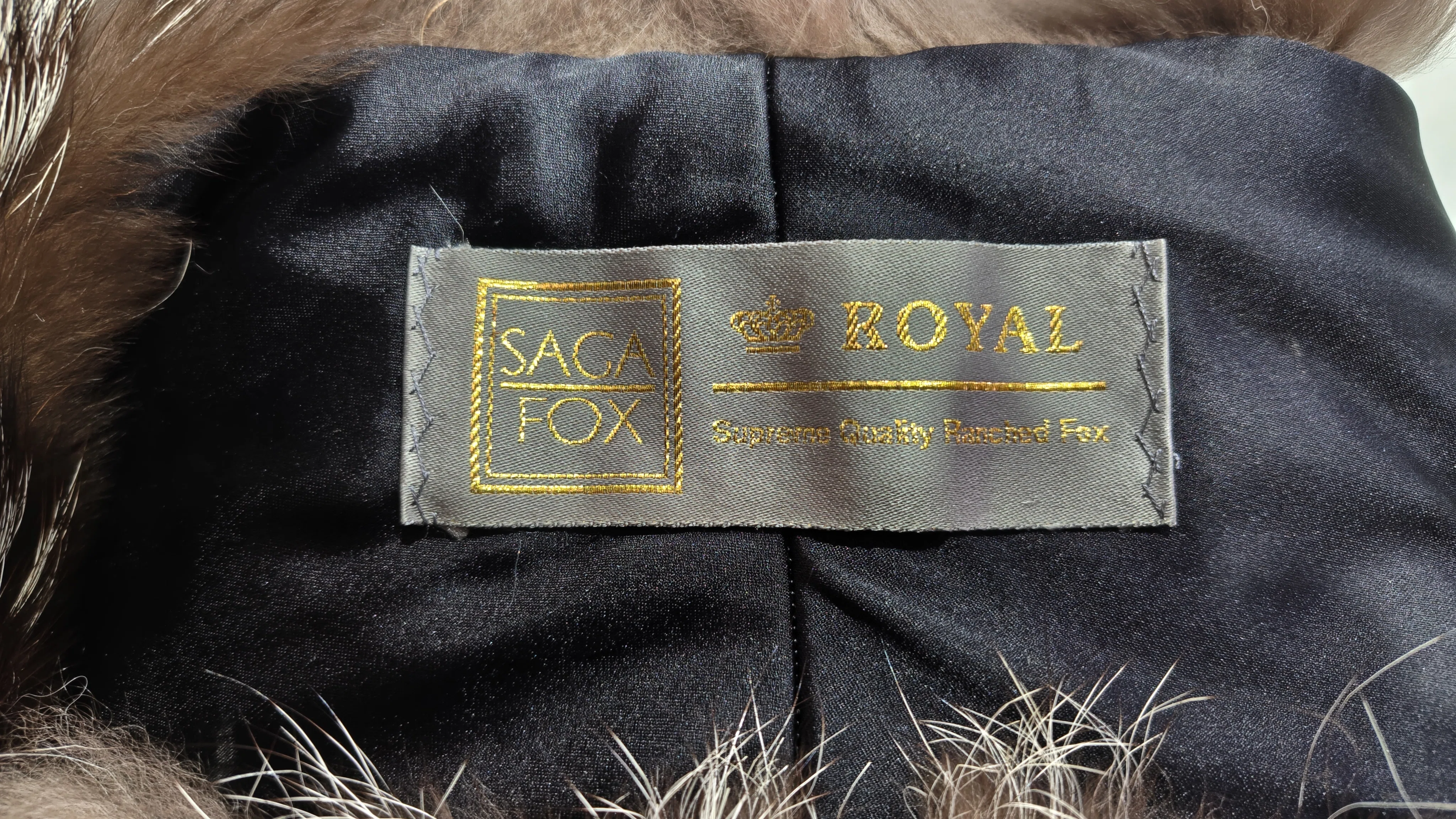 SAGA FOX🦊サガフォックスの襟巻をレスキューした🎉ゴールドラベル
