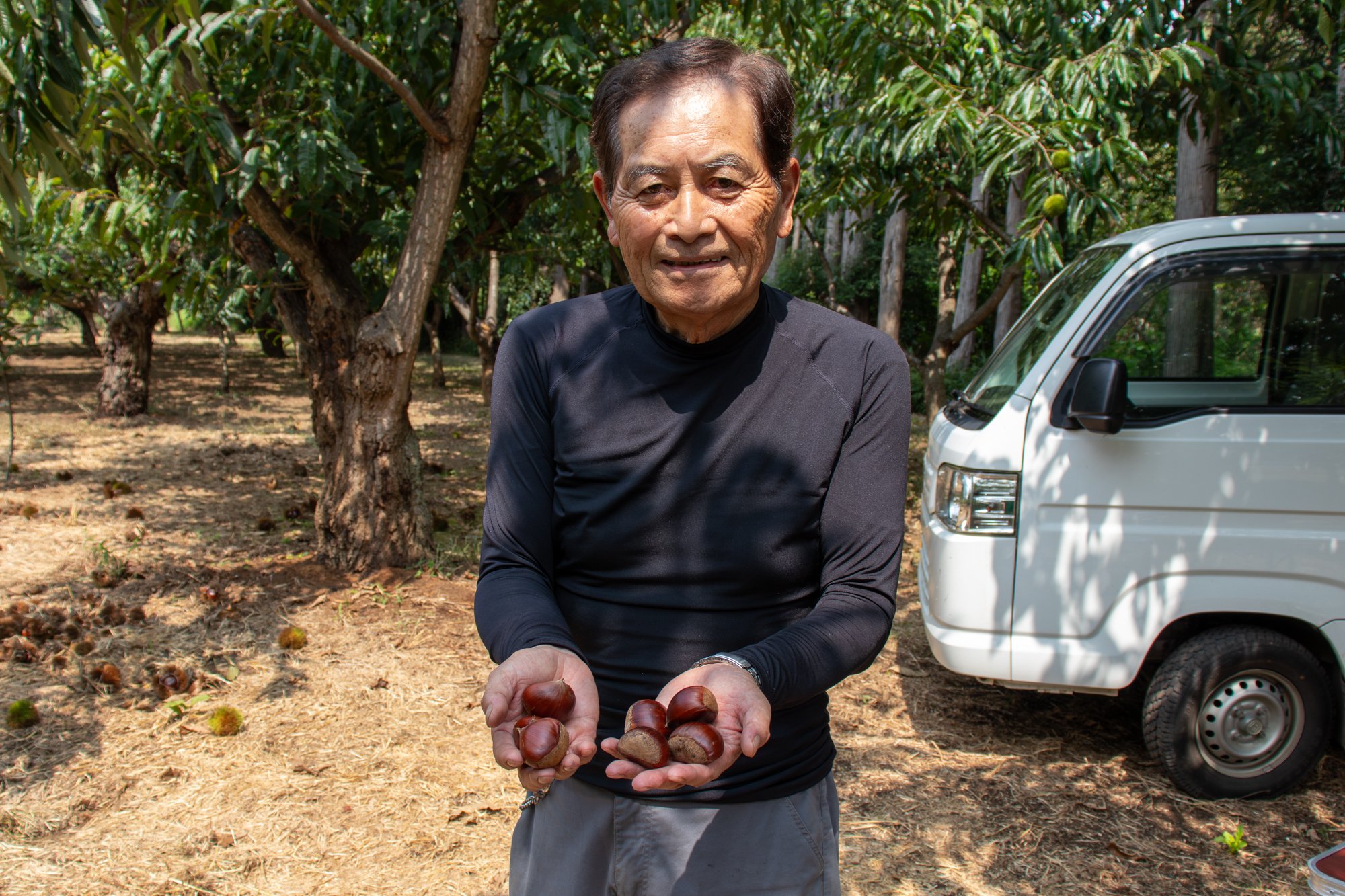 日本初の栗の自動選果機から、全量JA出荷のモデル園、創業100年を