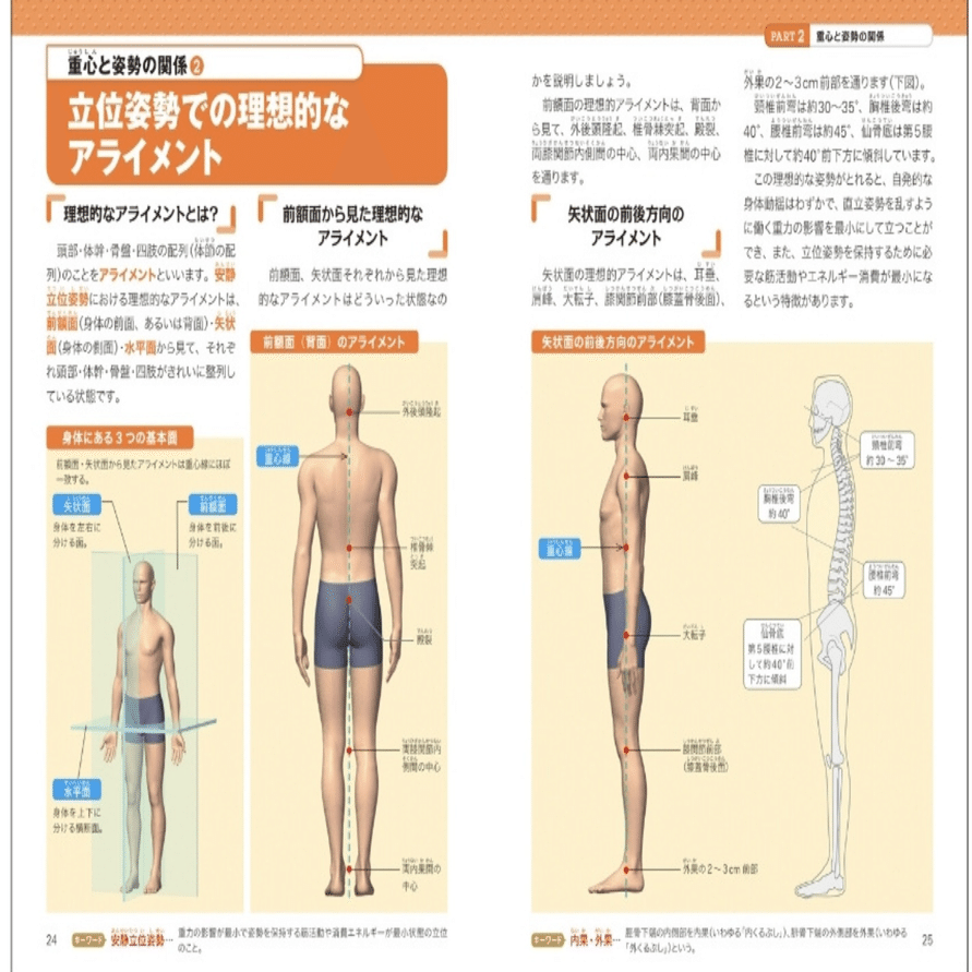 骨と筋肉は習うのに、なぜ「姿勢」の授業はないの？ 小4の教科書から