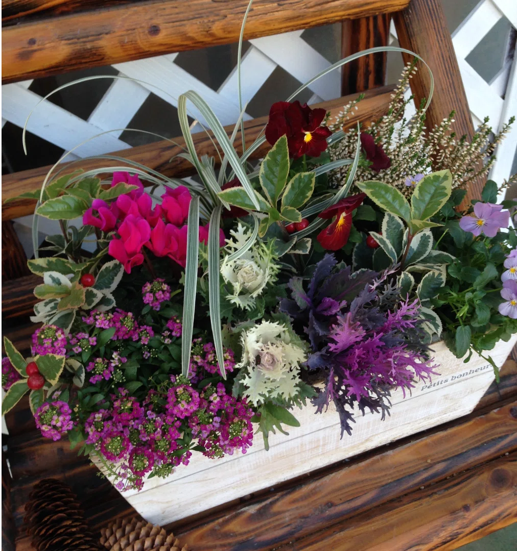 寄せ植えの“センス”は不要？ プロが必ず押さえる3つの基本｜寄せ植え