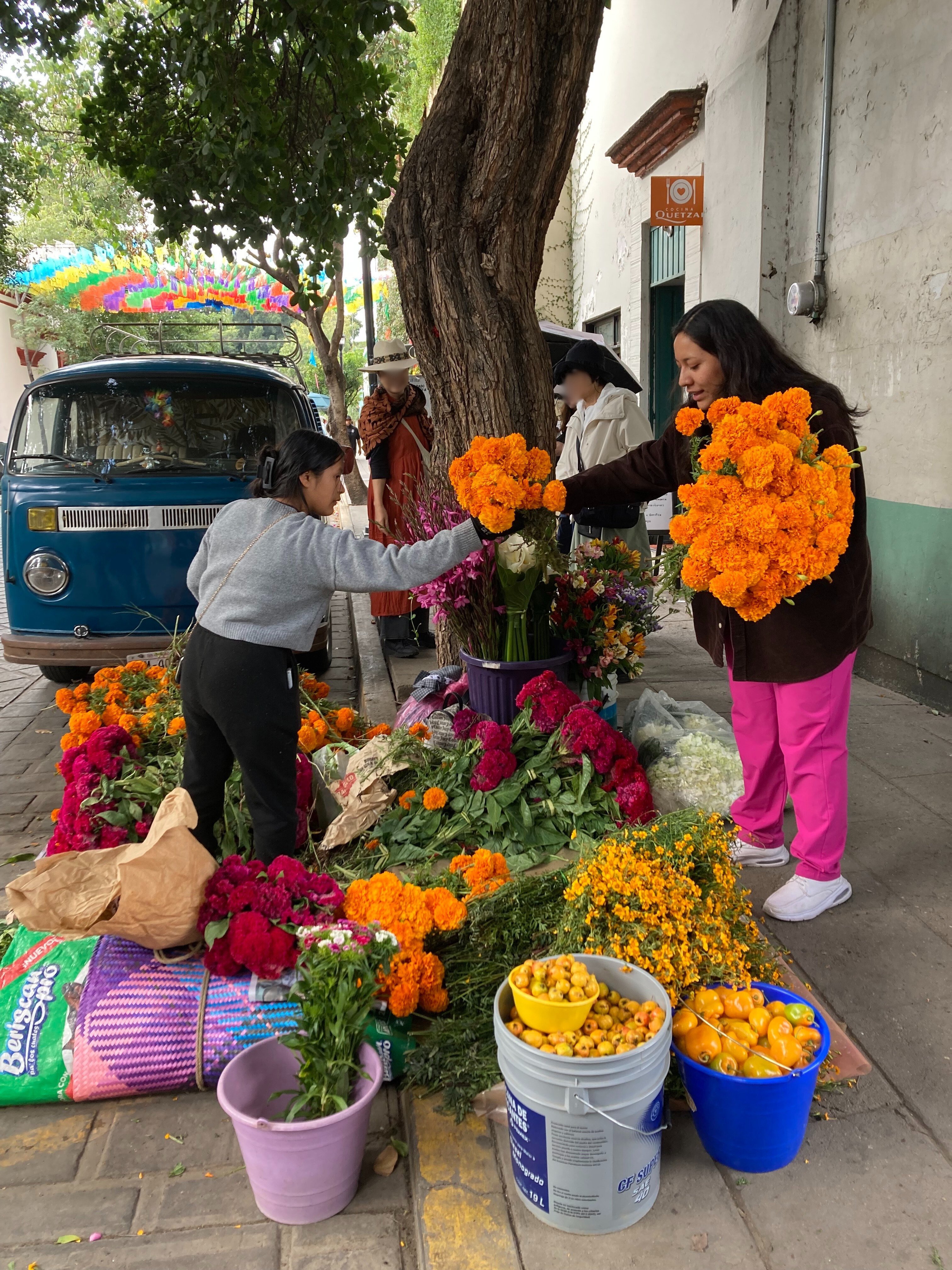 初めてのメキシコ！死者の日オアハカ！ルチャリブレ観戦！｜メキシコ観光
