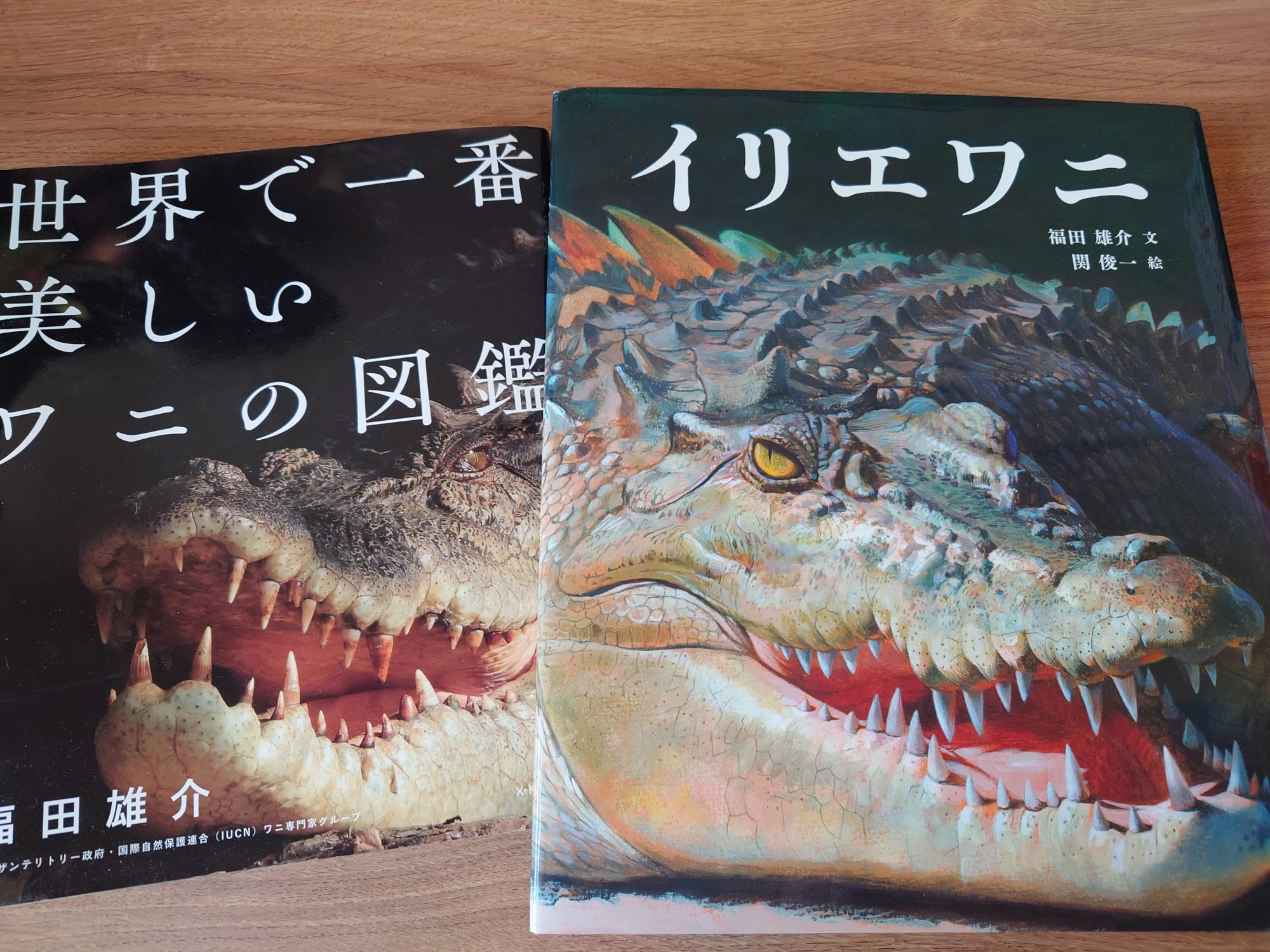 Crocodiles Are Not Punished｜ワニスキー