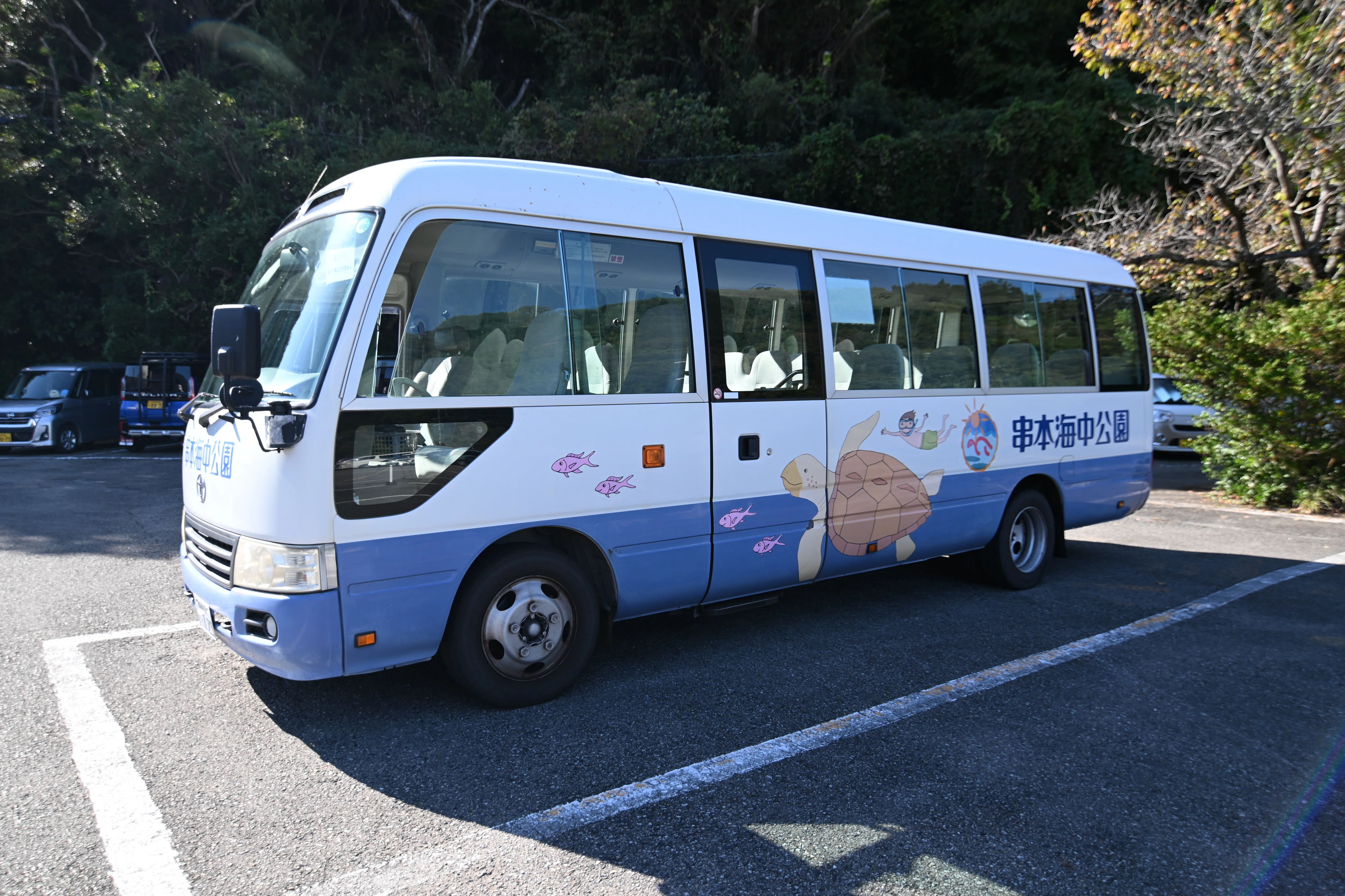 20251116_串本海中公園【Nikon Z50IIと水族館】｜山ネズミ