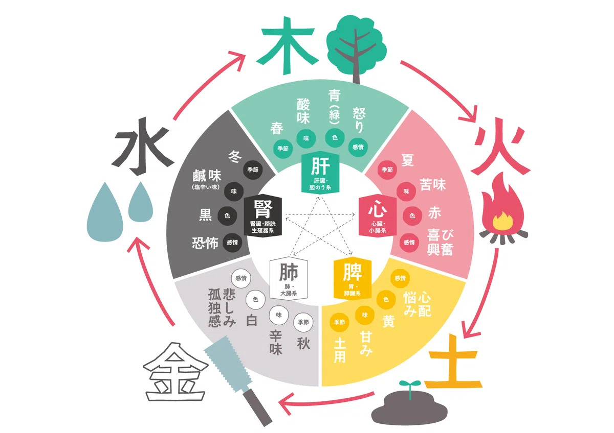 🌿陰陽五行「木」── 伸びる力・スタートのエネルギー｜想い場〜キャリア形成支援プロジェクトTUCURU〜