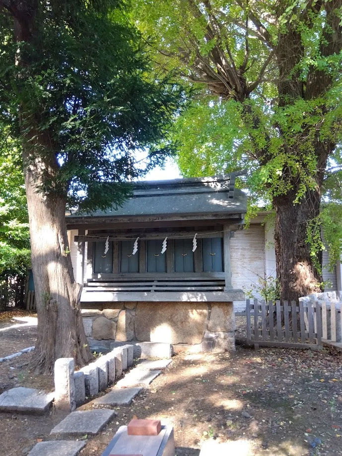 暗闇坂の人喰いの木～読書記録530～｜かおり