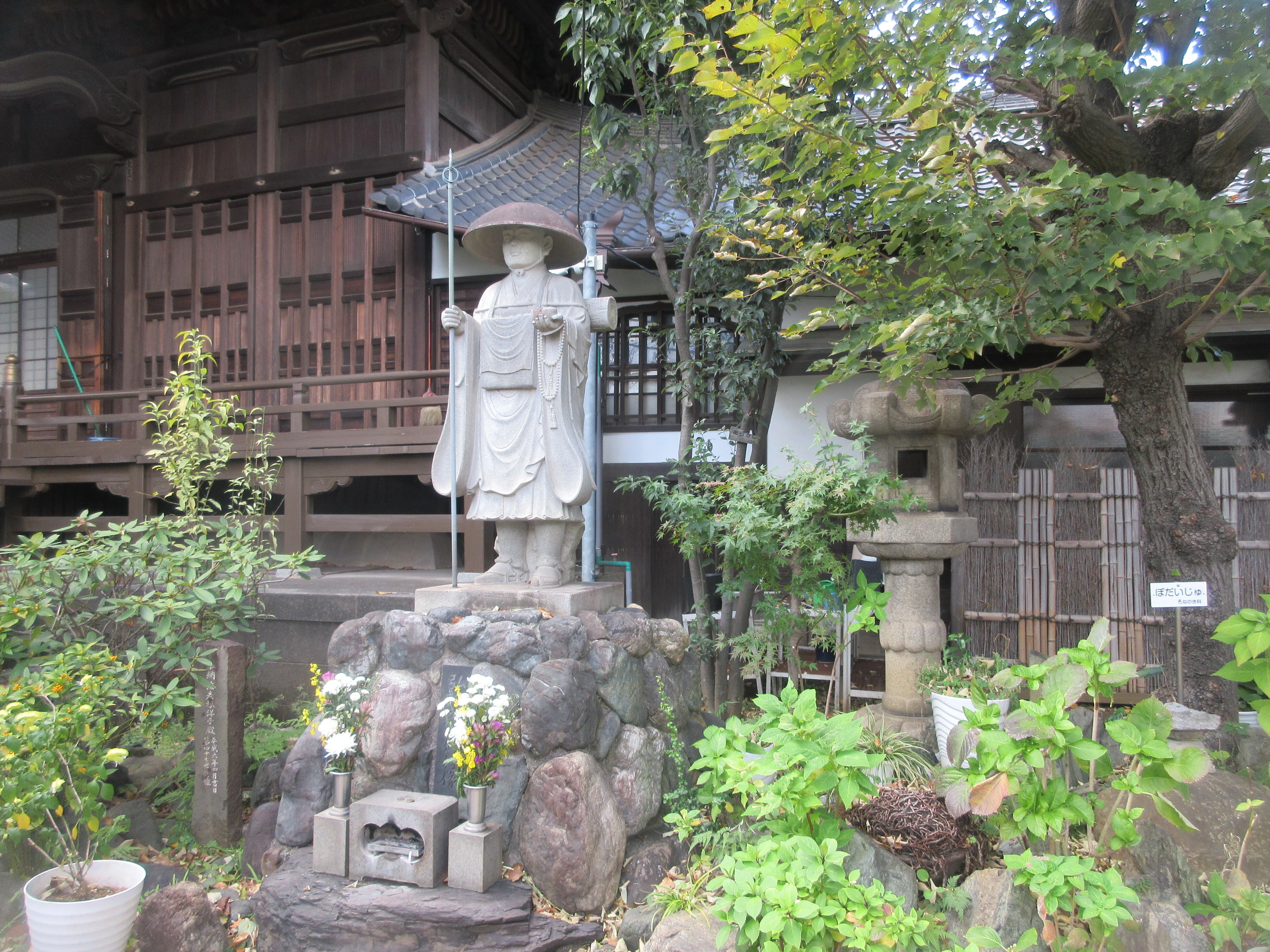 暗闇坂の人喰いの木～読書記録530～｜かおり