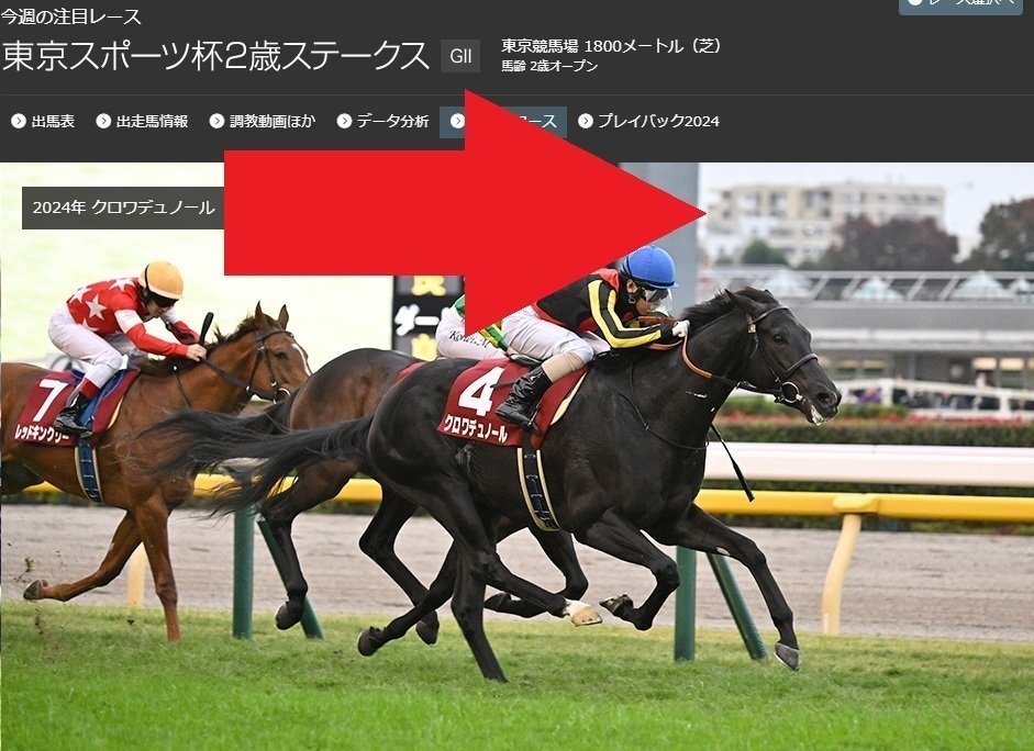 東京スポーツ杯2歳ステークス2025 サイン馬券｜JRAホームページの画像