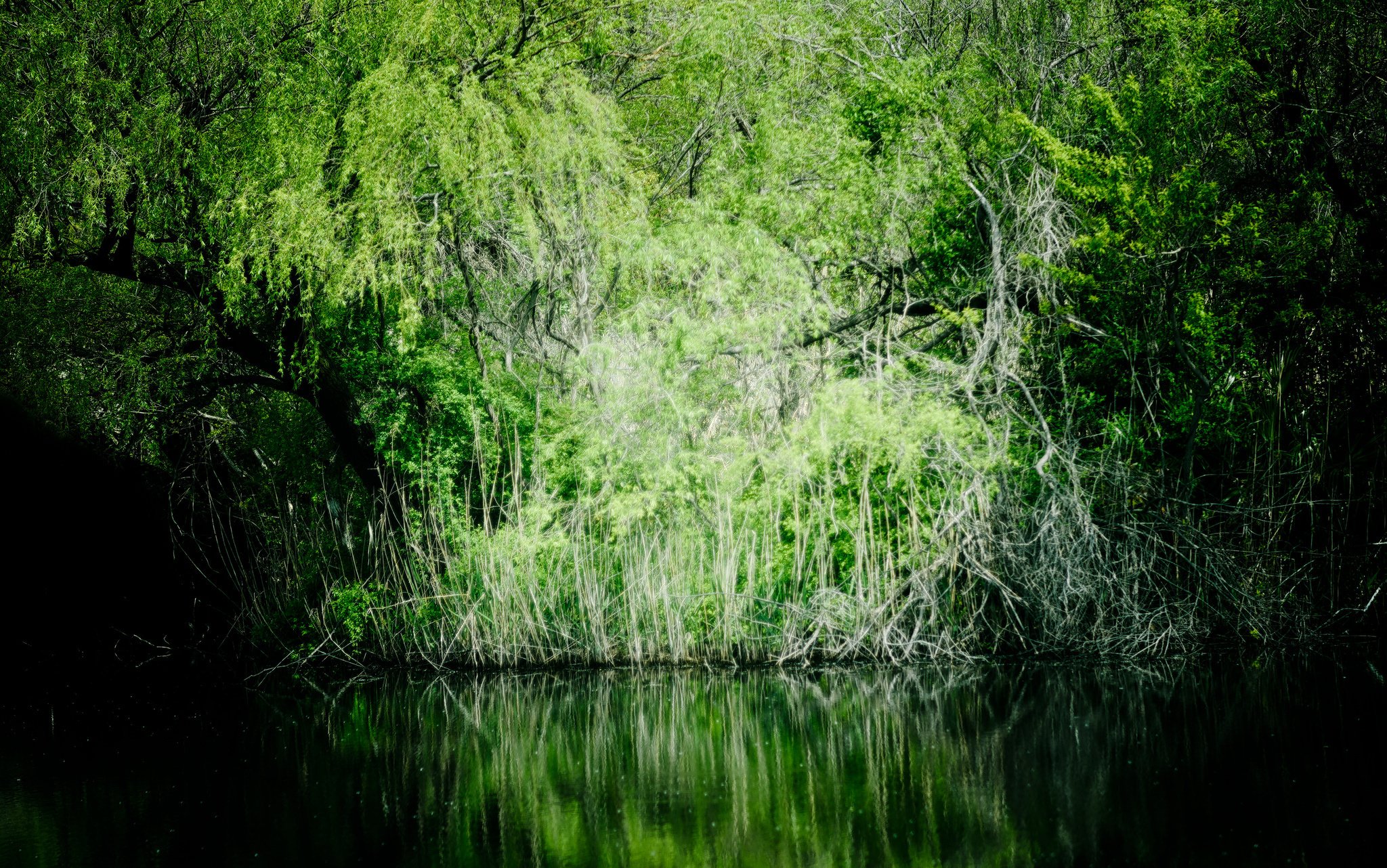 抽象的な自然風景写真 大宮第三公園の小さな島について Nikon D4s, Nikon D3300｜fueda218