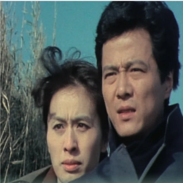 松本清張ファン必見！DVD『風の息』ほか3作品収録セットを徹底レビュー