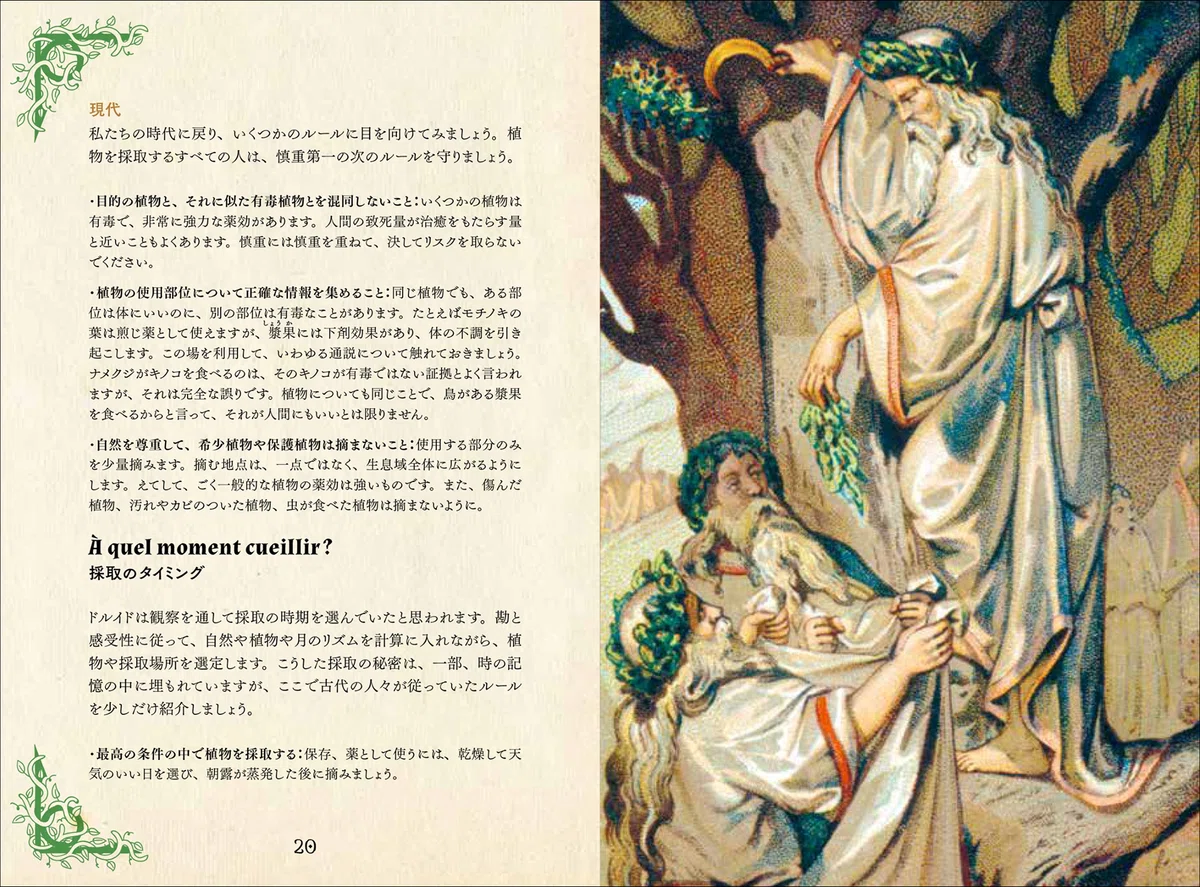 大好評“ひみつの本棚”第10弾】古代の人々を癒した薬用植物と現代にも