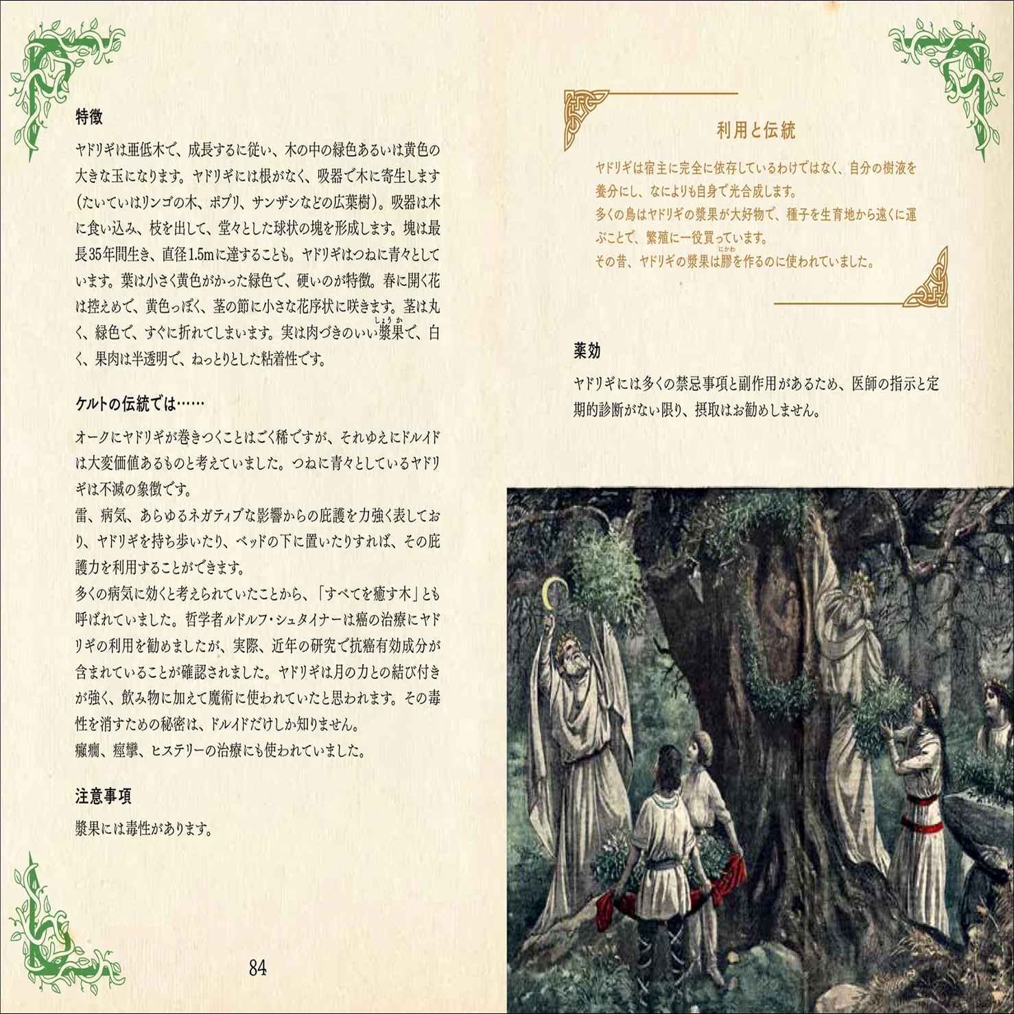大好評“ひみつの本棚”第10弾】古代の人々を癒した薬用植物と現代にも