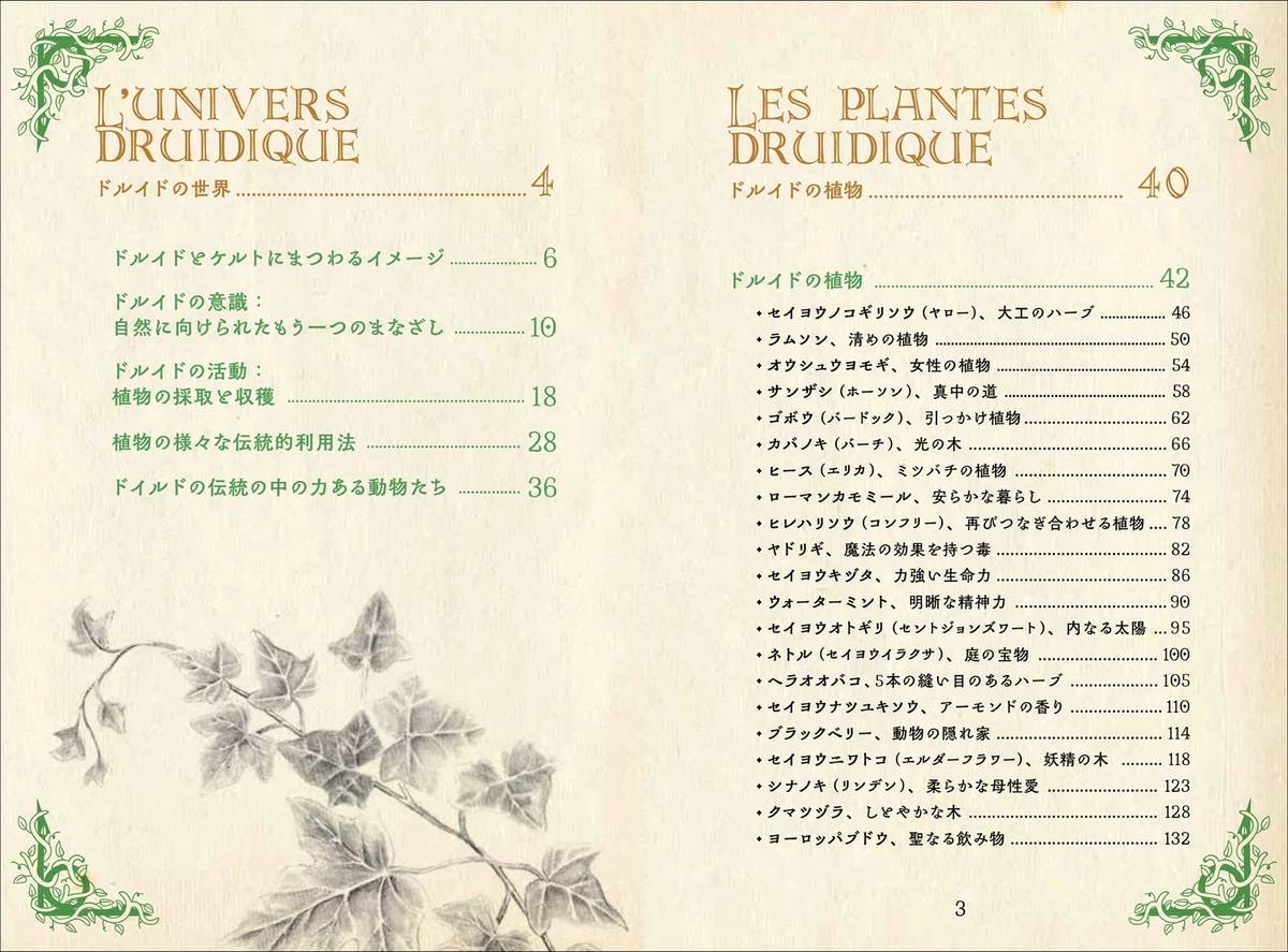 大好評“ひみつの本棚”第10弾】古代の人々を癒した薬用植物と現代にも